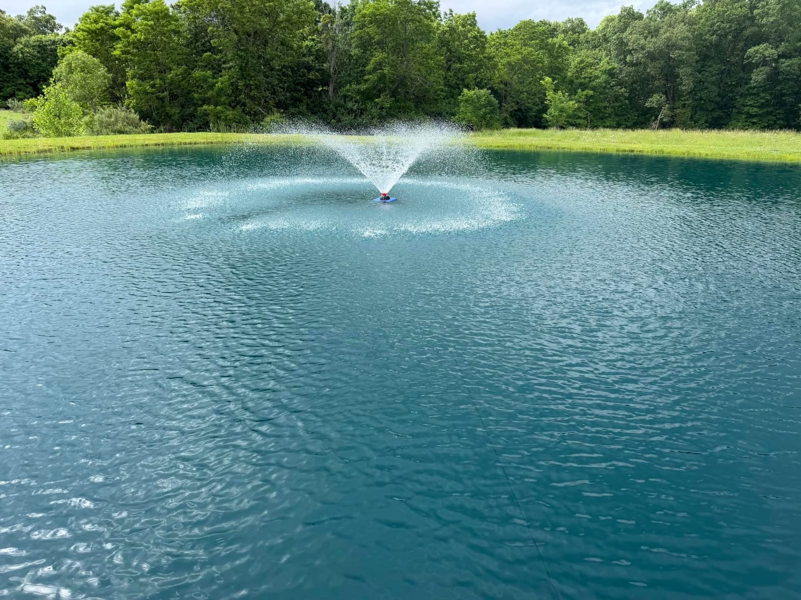 Goldlife Pond Fountain Aerator F2 1HP 750W 15000GPH Floating Fountains Pump customer photo 2