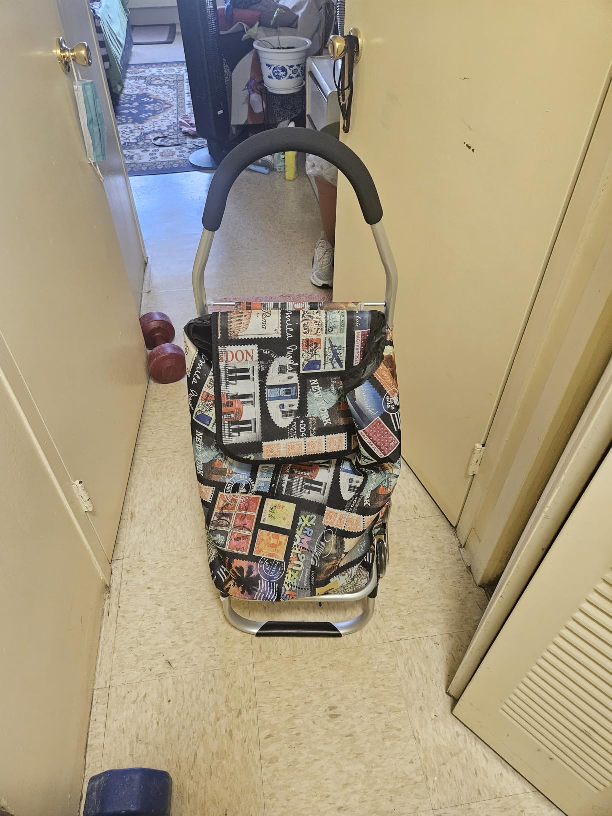 Heavy Duty 3 in 1 Shopping Cart, Foldable Hand Truck with 6 Wheels customer photo 1
