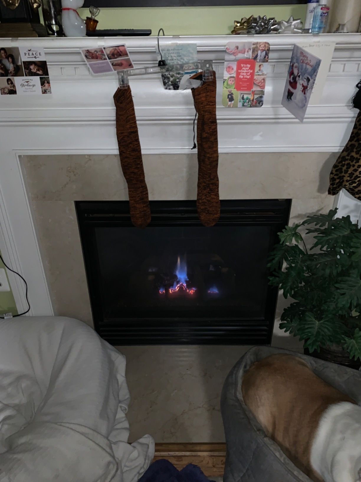 ororo Heated Socks for Men Women, Electric Socks for Cold Feet customer photo 2