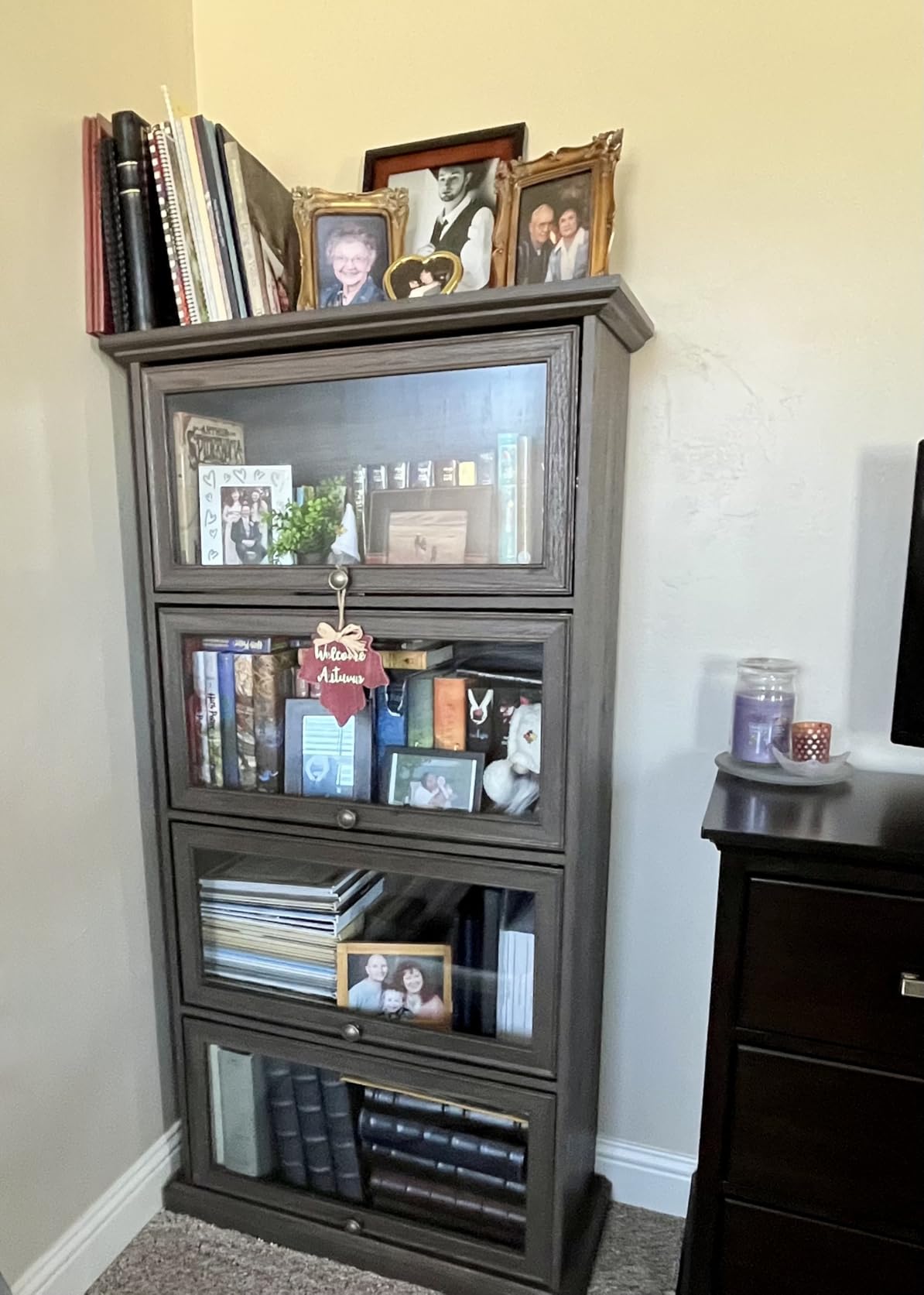 Tall Bookcase with Glass Doors, 63