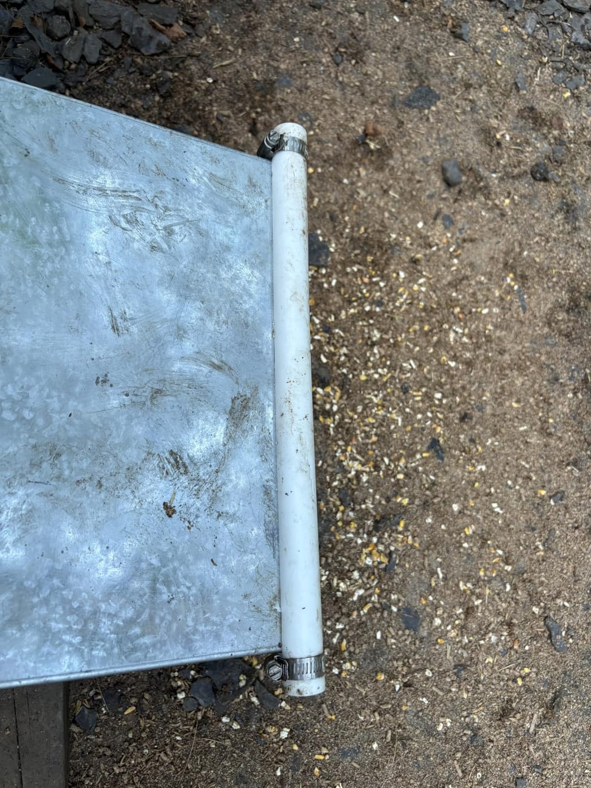 Hog Feeder Silver, 2.5 Bushels Capacity customer photo 1