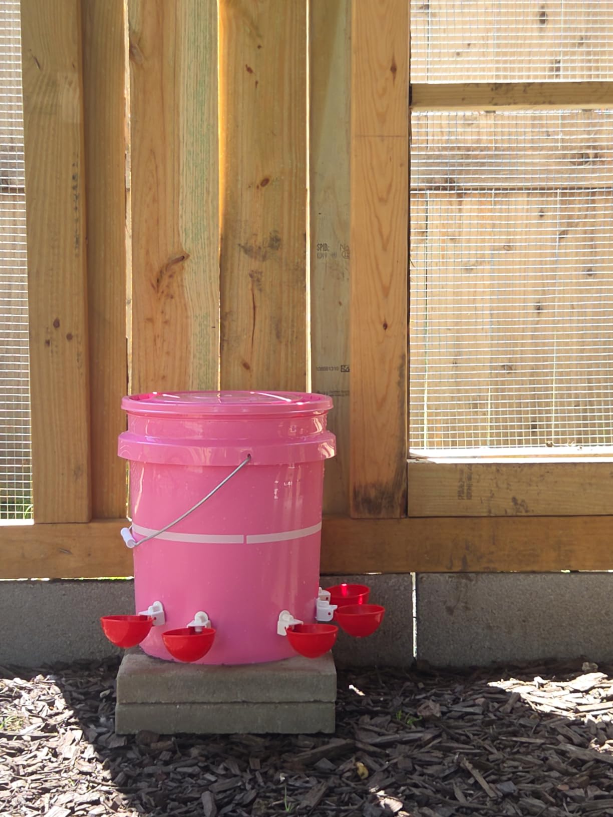 Chicken Waterer Cups, Automatic DIY Chicken Water Bowl 6 Pack customer photo 1