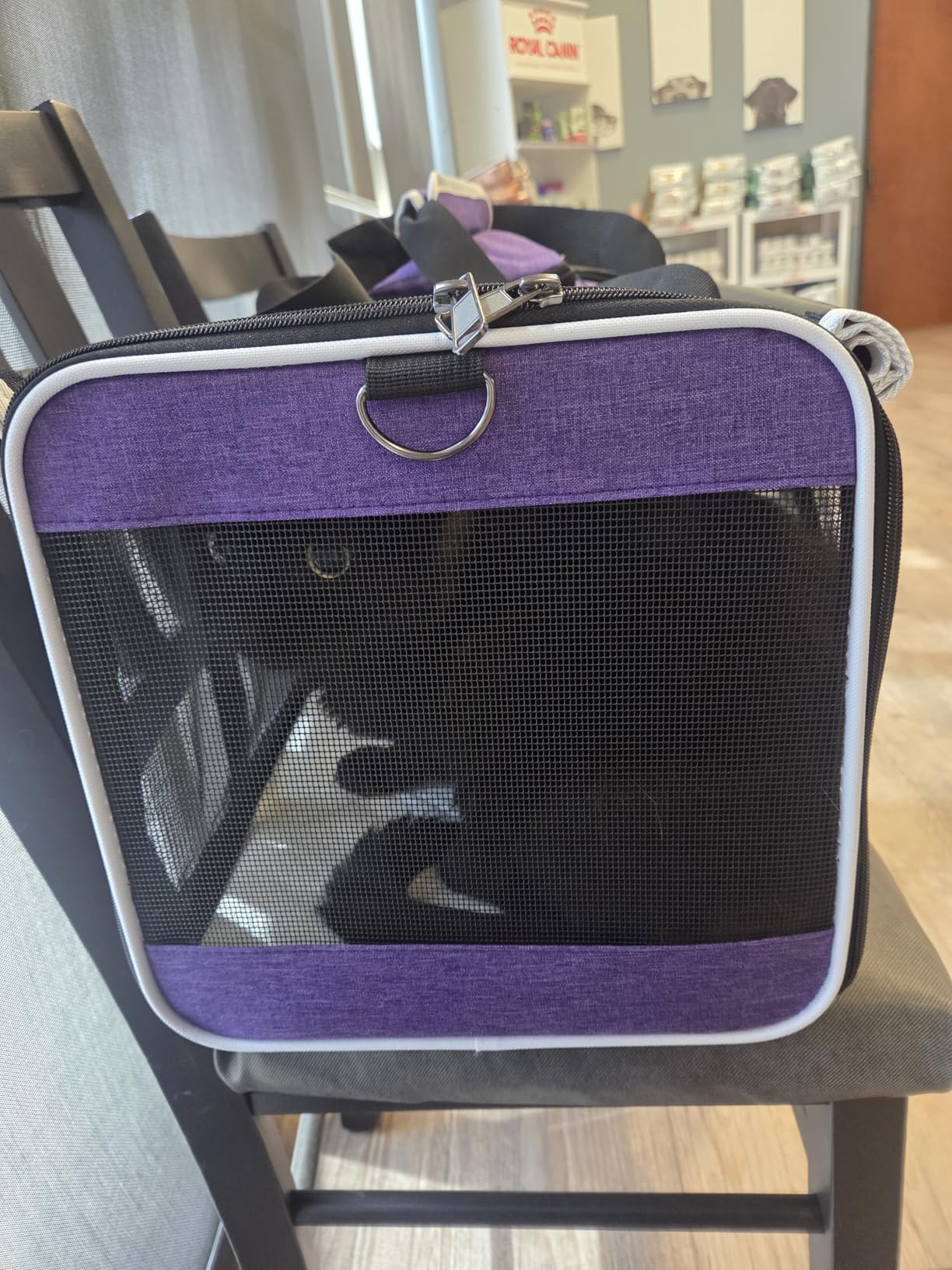 GAPZER Pet Carrier for Large Cat Soft-Sided Animal Traveling Bag up to 20lb customer photo 2