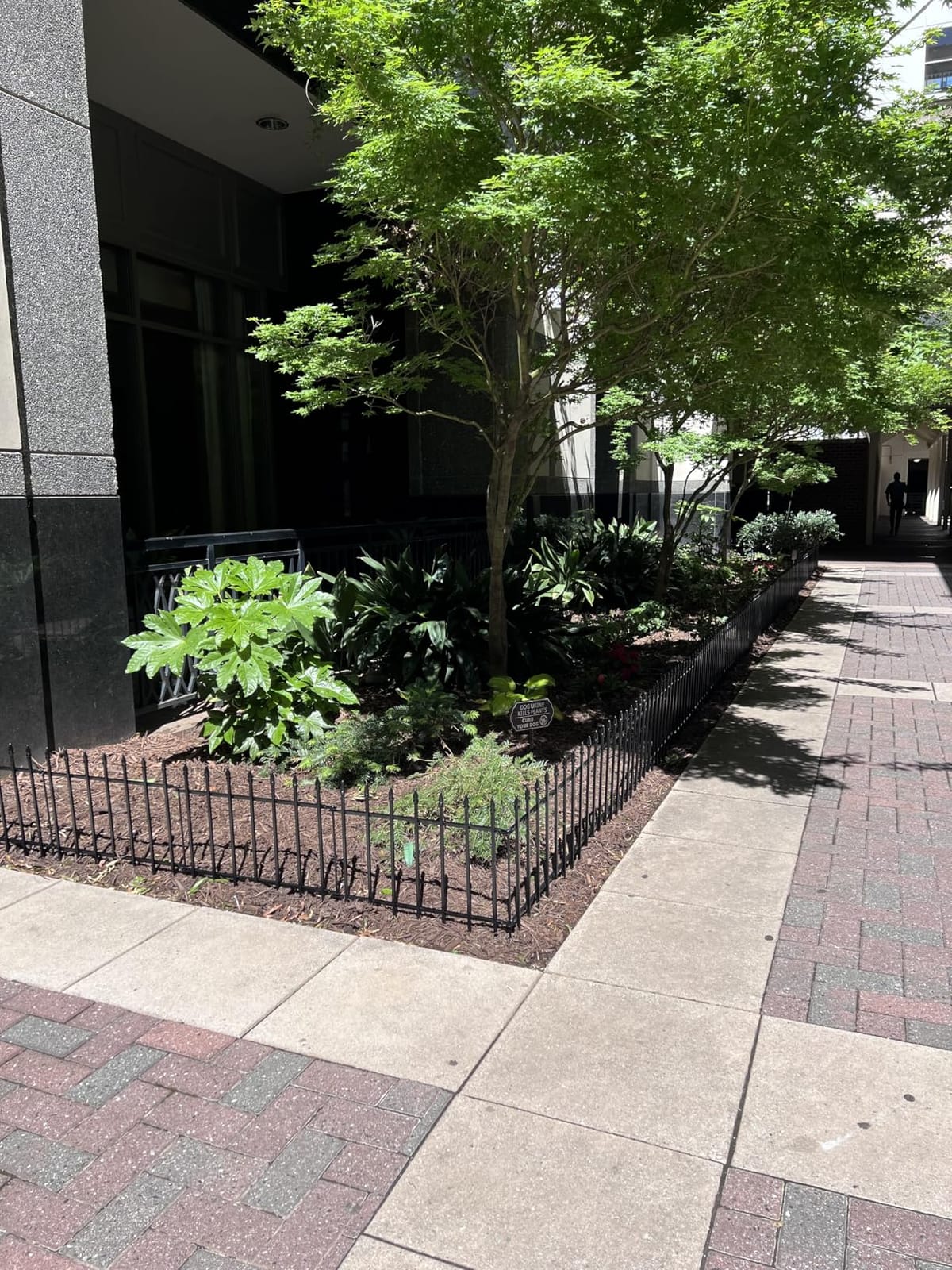 Decorative Metal Garden Fence with Gate 42