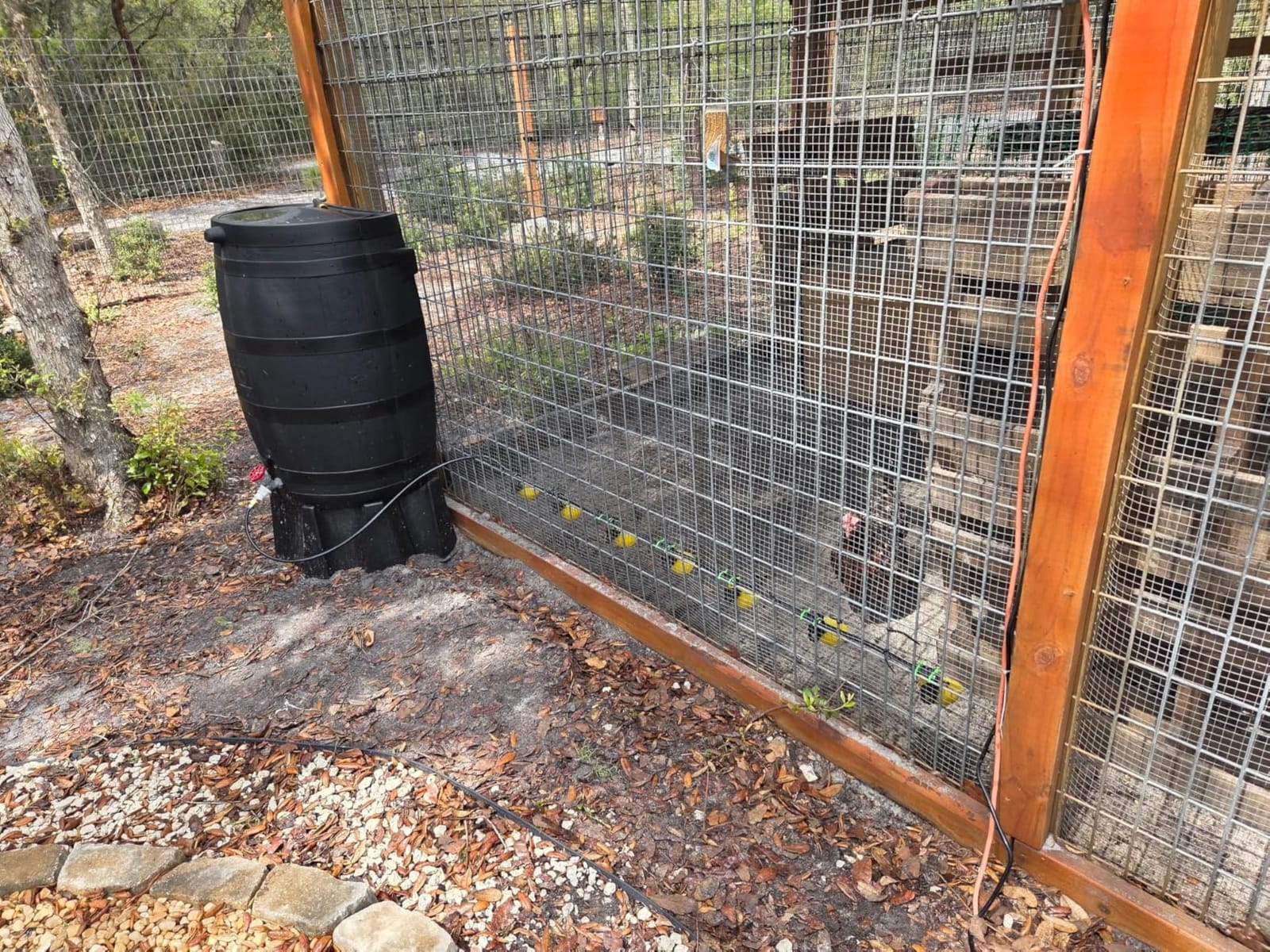Automatic Chicken Water System, Complete Set with Large Water Cup,Pipeline customer photo 2