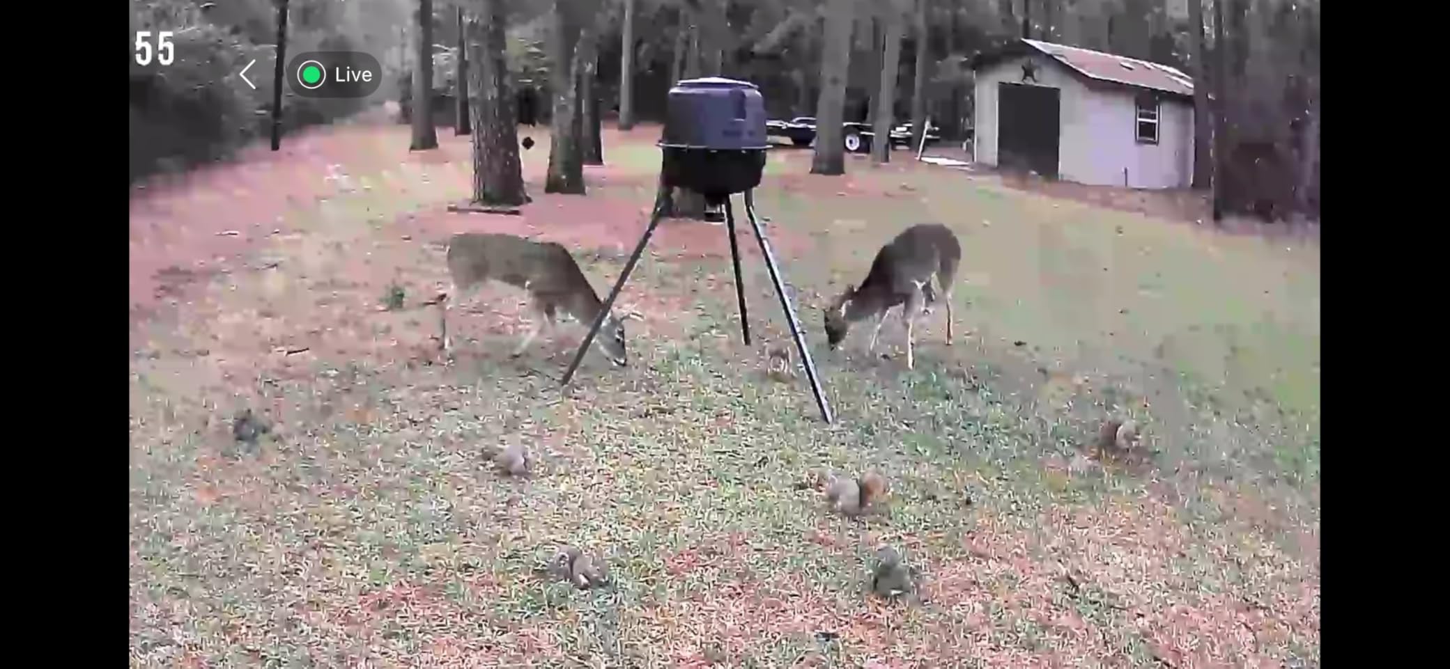 Moultrie 200 Lb Tripod Deer Feeder - Bluetooth App Control customer photo 1