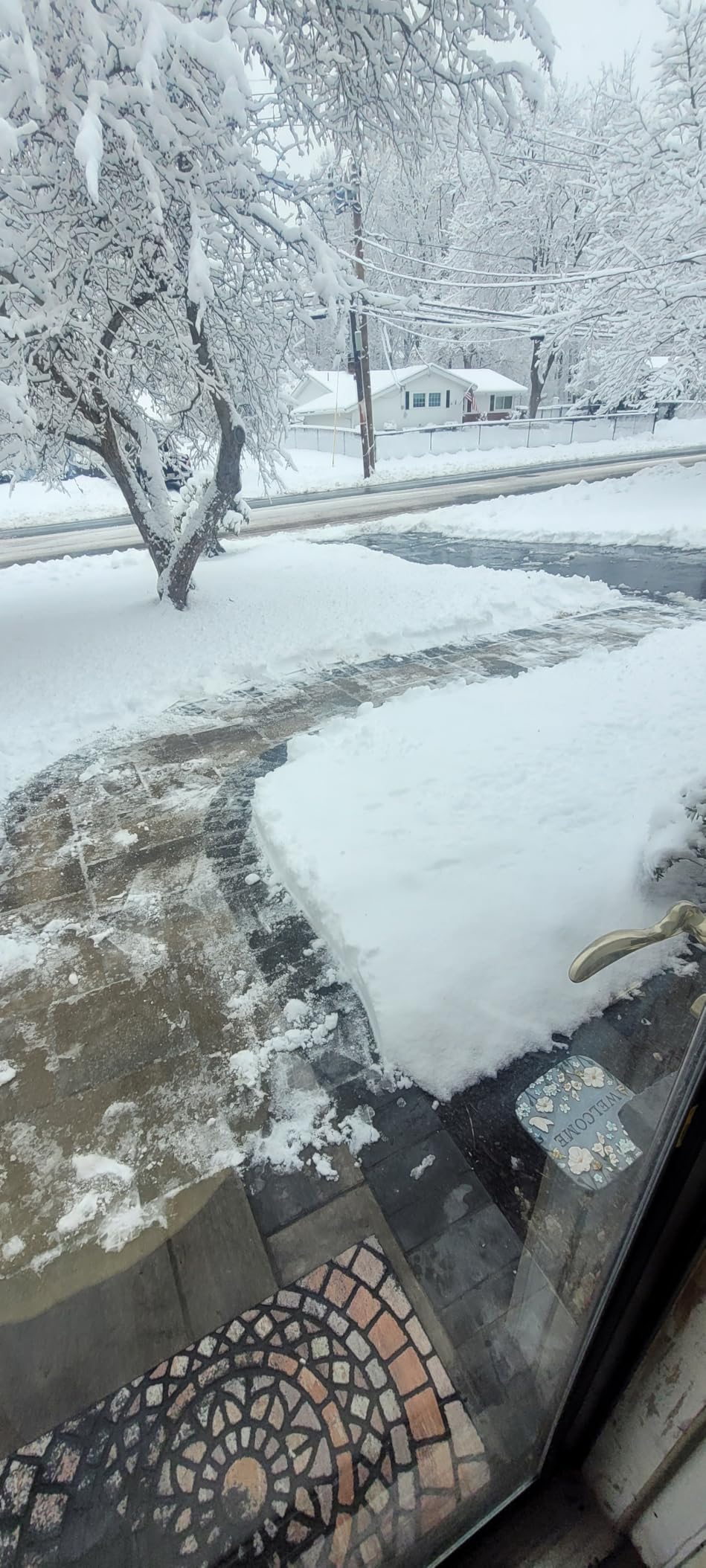 Cordless Snow Shovel, 13