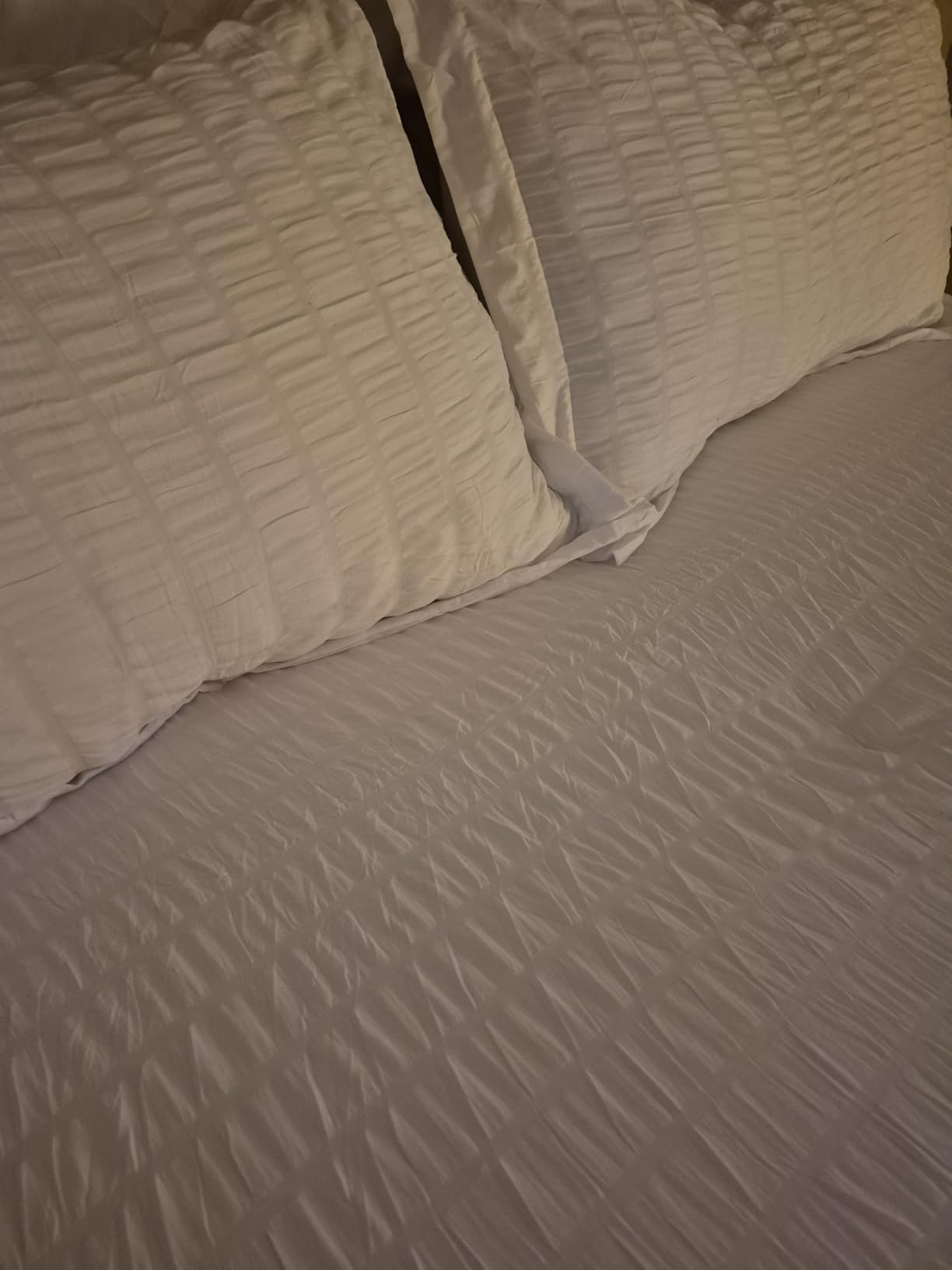 CozyLux Oversized King Comforter Set 120x98 in, 7-Piece Beige Seersucker | Covers the bed, not just the mattress - drapes past sides & foot, 240 GSM point-tack fill, 14 in deep pocket, OEKO-TEX customer photo 2