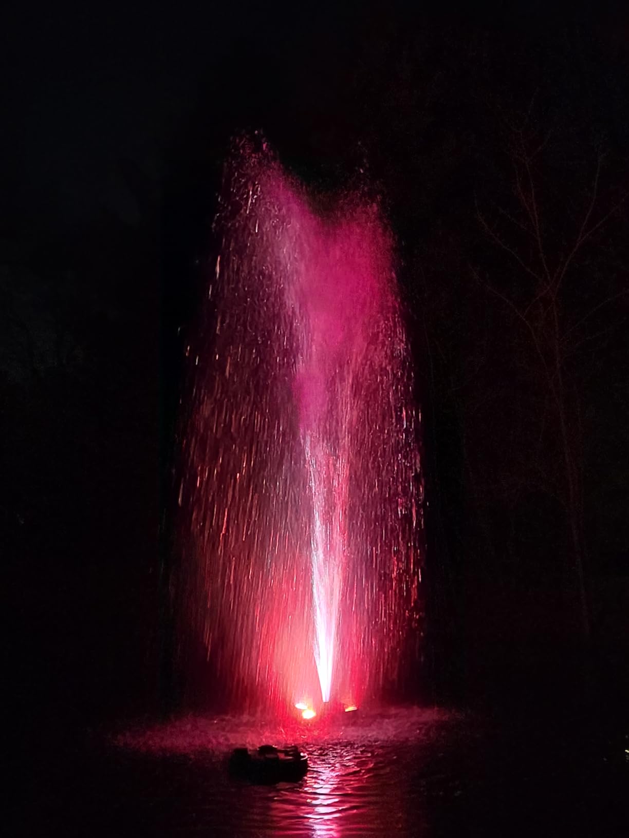Goldlife Pond Fountain Aerator, F3 With 4 RGB Lights, 1HP 750W 110V Stainless Steel Floating Fountain With 100FT Power Cord Black Octagon Aerating Fountain Pump for Small Large Pond Lake customer photo 1