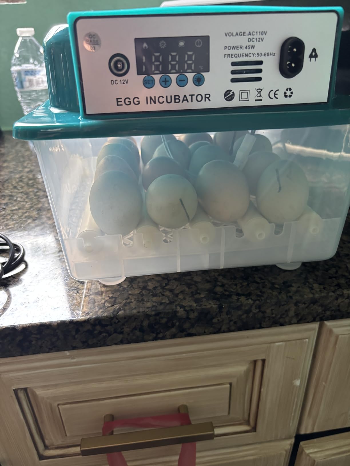 CoInceptus 36 Eggs Incubators for Hatching Eggs,Egg Incubator with 4 Automatic Incubate Mode,Chicken Incubator with Automatic Egg Turning Humidity Display,Quail Egg Incubator with Egg Candle customer photo 2