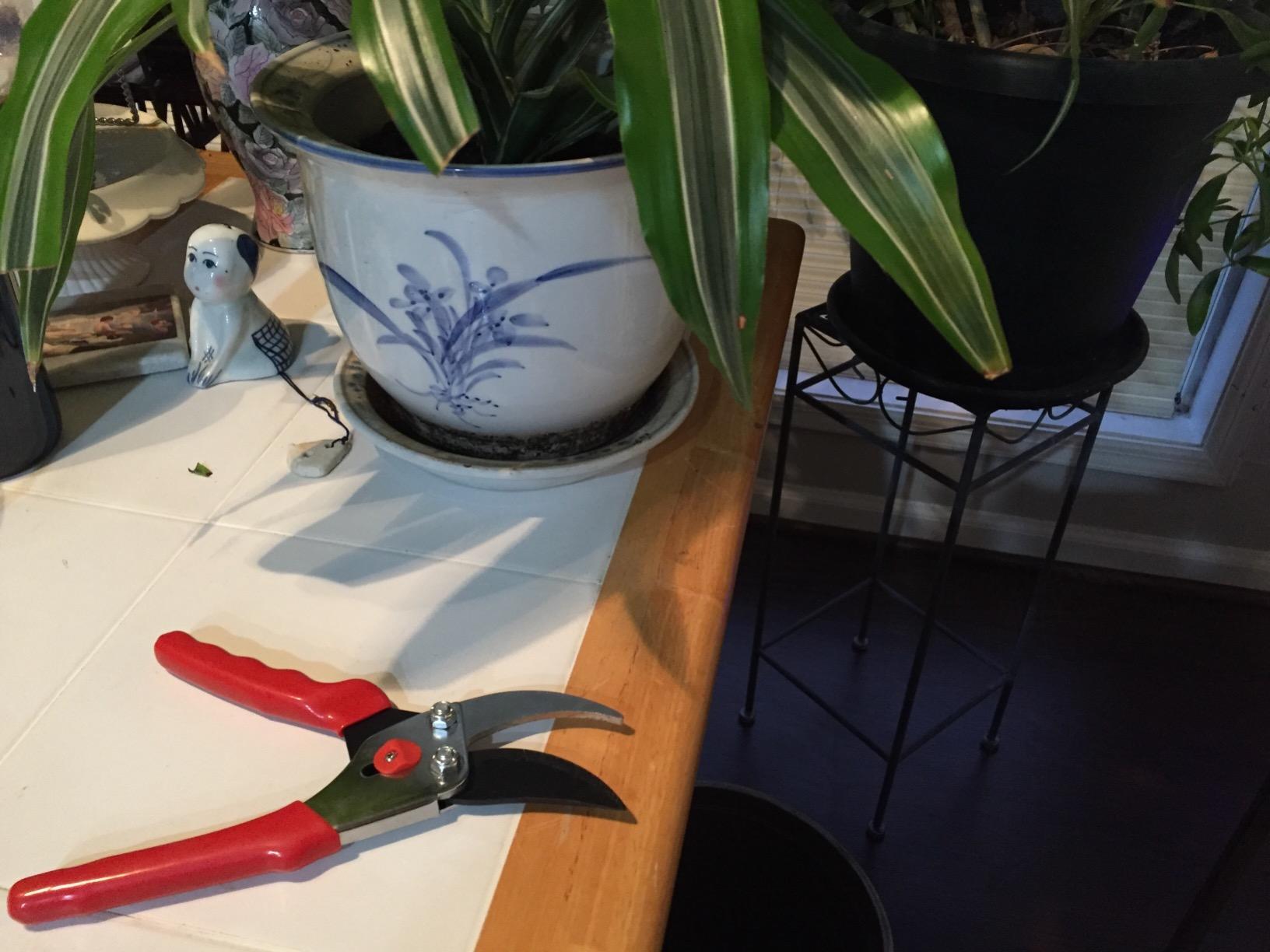 FLORA GUARD Heavy Duty Ratchet Pruning Shears, SK5 Steel Garden Clippers customer photo 2