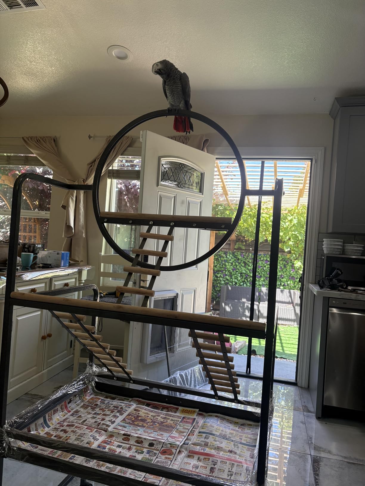 Garvee 64'' H Inch Birdcage Stand Play Center with Perches and Ladders | Indoor Outdoor Playground for Birds, Bird Playstand w/Rotated Ring Removable Tray, Lockable Caster, for Macaw and Parakeet customer photo 2