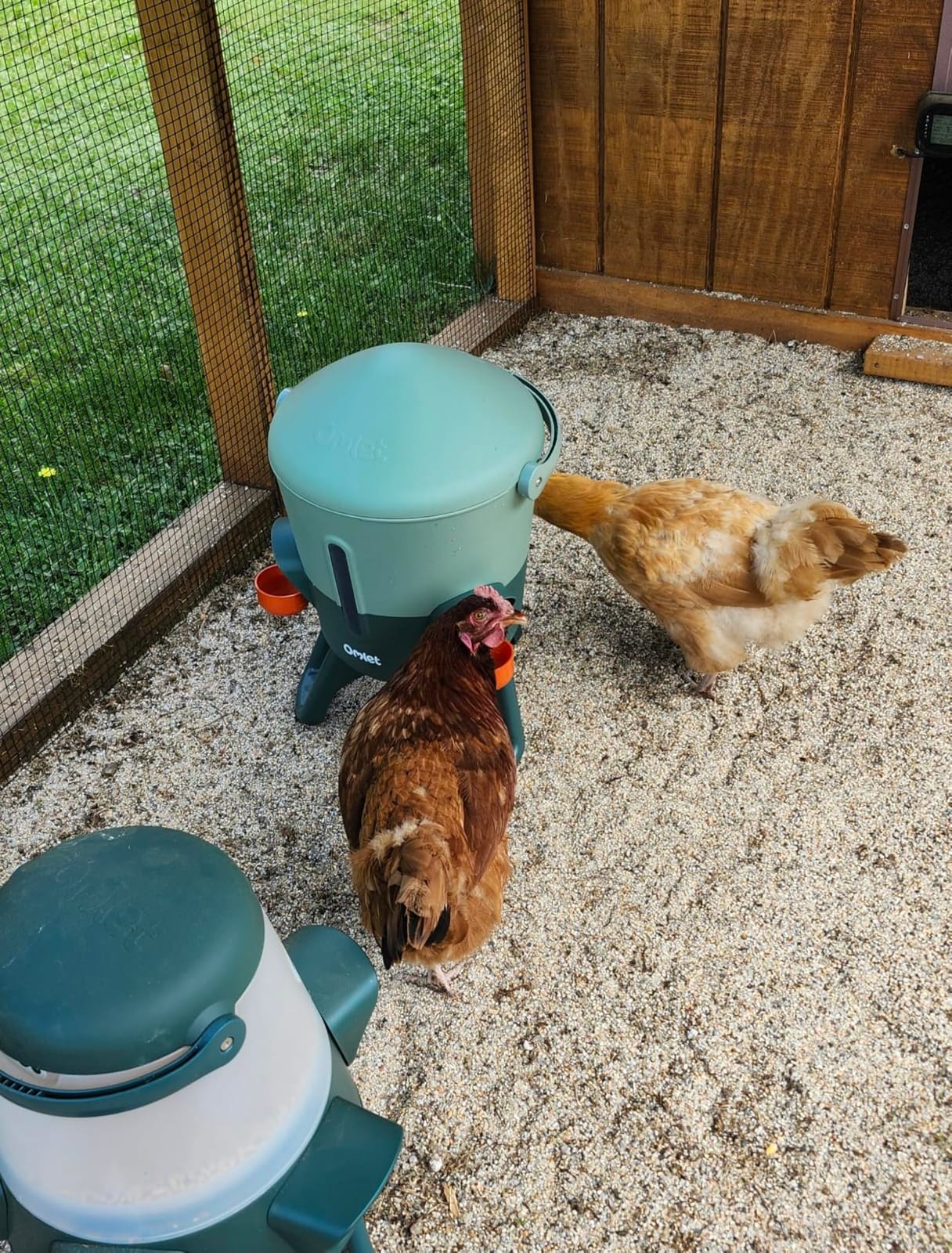Omlet Insulated Chicken Waterer, 3 Gallon | Automatic Poultry Water Dispenser with 5 Cups & Nipples Included | BPA-Free | Anti-Roost Lid | Sage Green customer photo 1