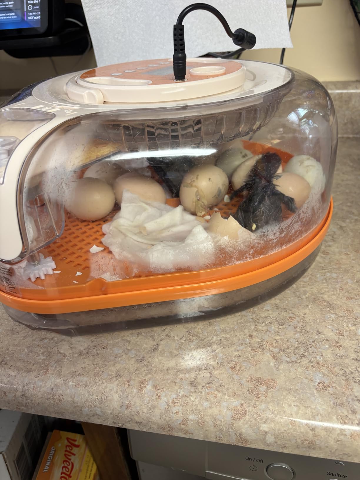 26-Egg Incubator for Hatching Eggs, Auto Turning, Temp & Humidity Control customer photo 1