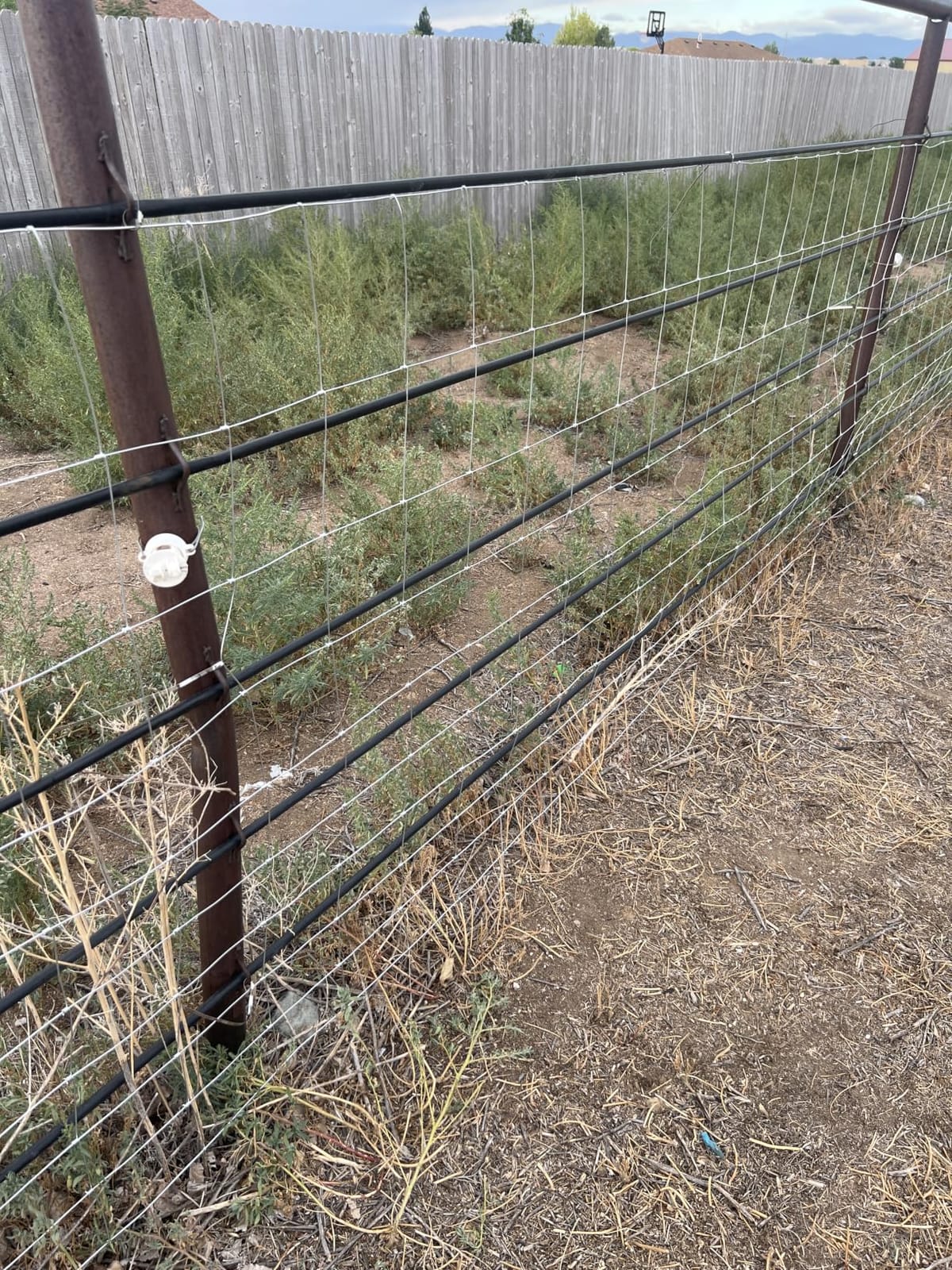 Cattle Panel 4ft x 328ft 14 Gauge Heavy Duty Galvanized Woven Wire Fence customer photo 1