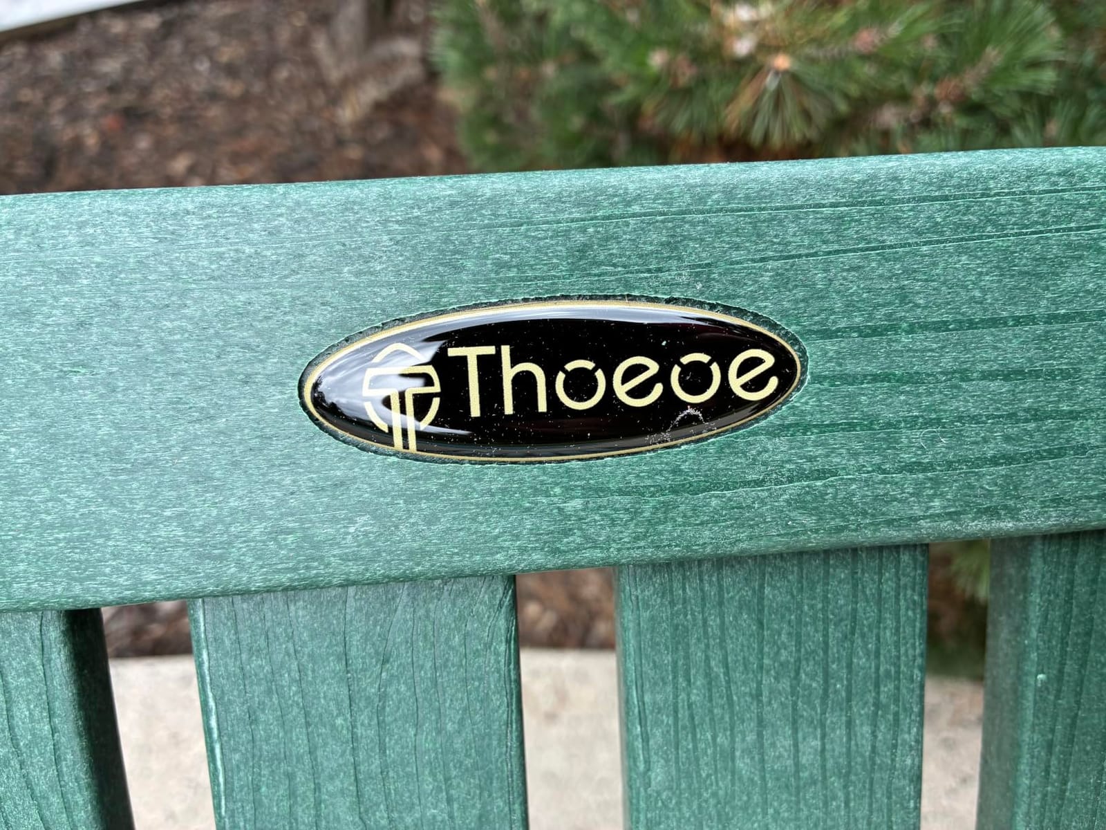 THOEOE Outdoor Chaise Lounge Chair Set of 2, HDPE Pool Lounge Chair, Wood customer photo 2