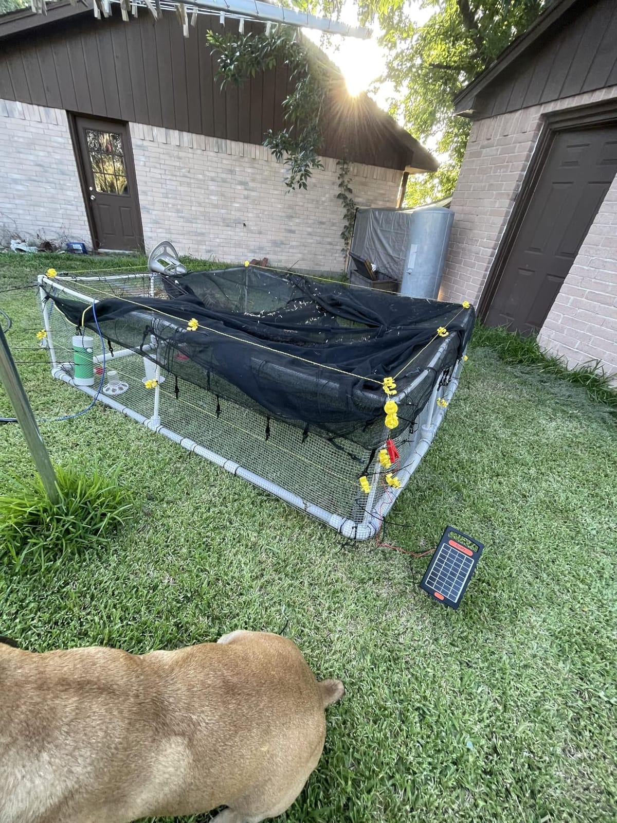 Solar Fence Charger, 0.32J, 20-Mile Coverage for Gardens, Deer customer photo 1