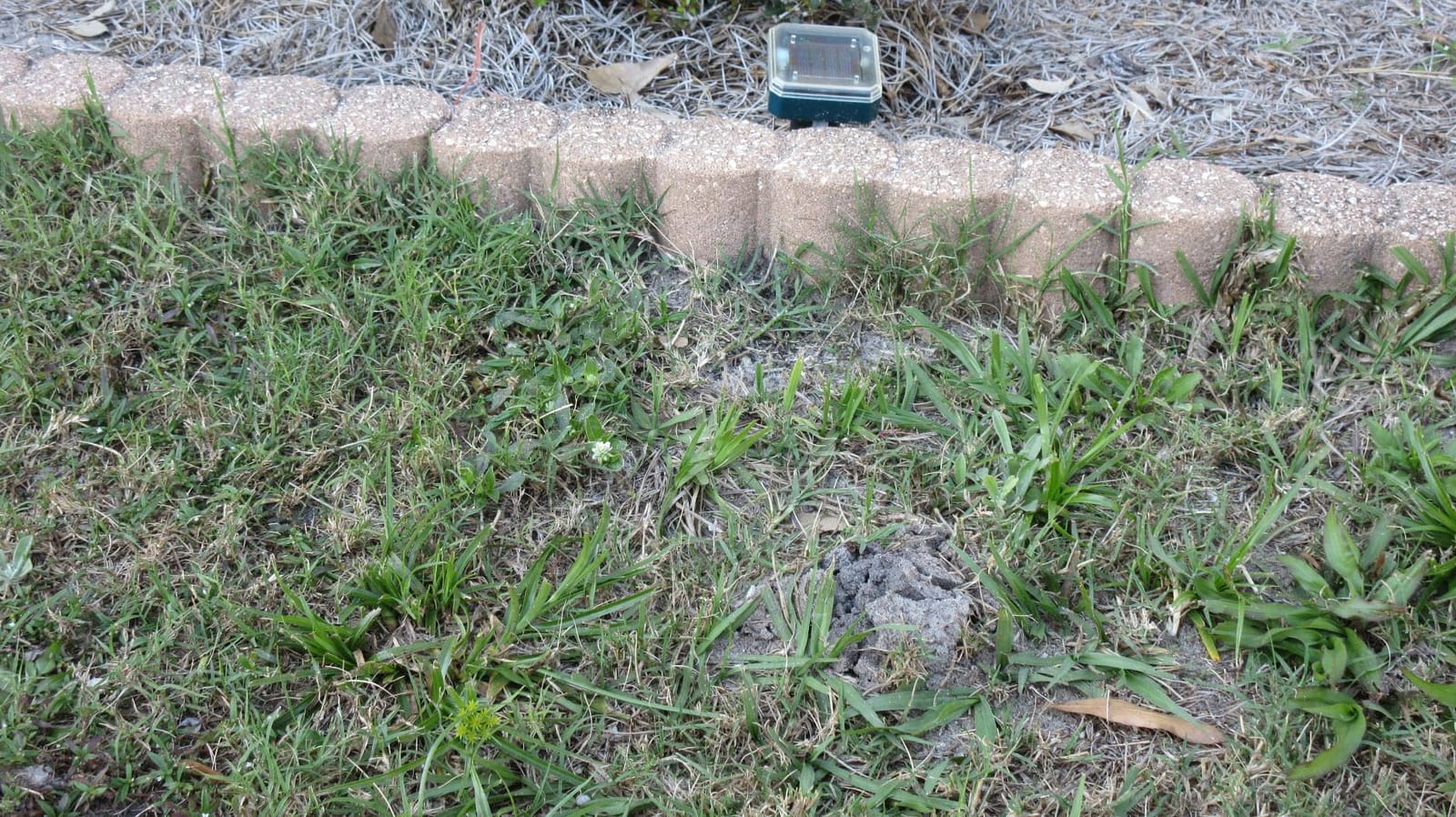 8 Pack Mole Repellent Solar Powered, Waterproof Vole Chipmunk Repellent Outdoor,Ultrasonic Gopher Repeller for Lawn Garden, Mole Deterrent,Groundhog Repeller, Snake customer photo 2