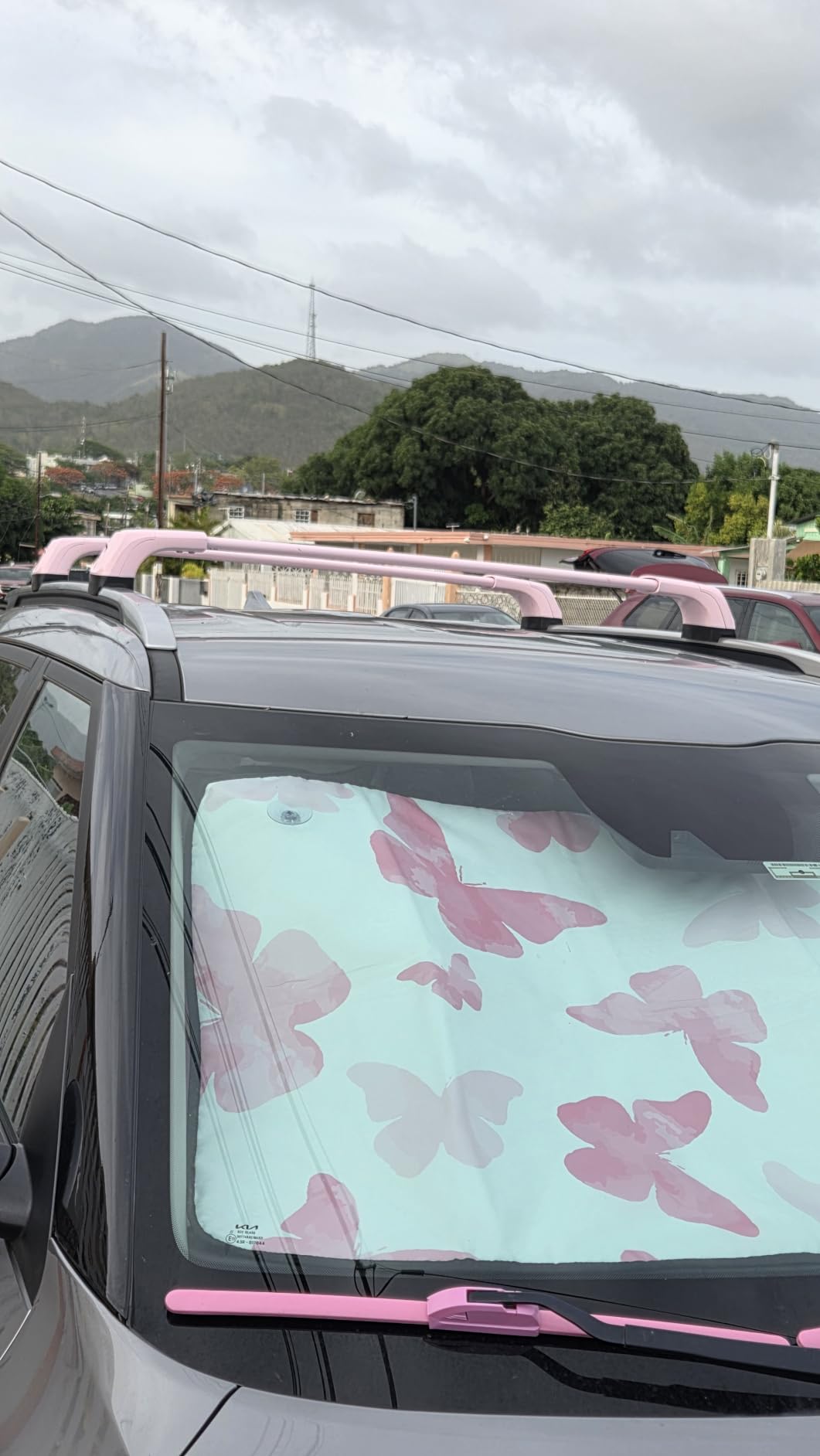 Roof Rack Cross Bars for Kia Telluride 2026 2027 S, EX, SX, SX Prestige | Not for LX, X-Line or X-Pro, 330lbs Heavy Duty Aluminum Lockable Roof Rails Crossbars Bike Rooftop Cargo Carrier Luggage customer photo 1