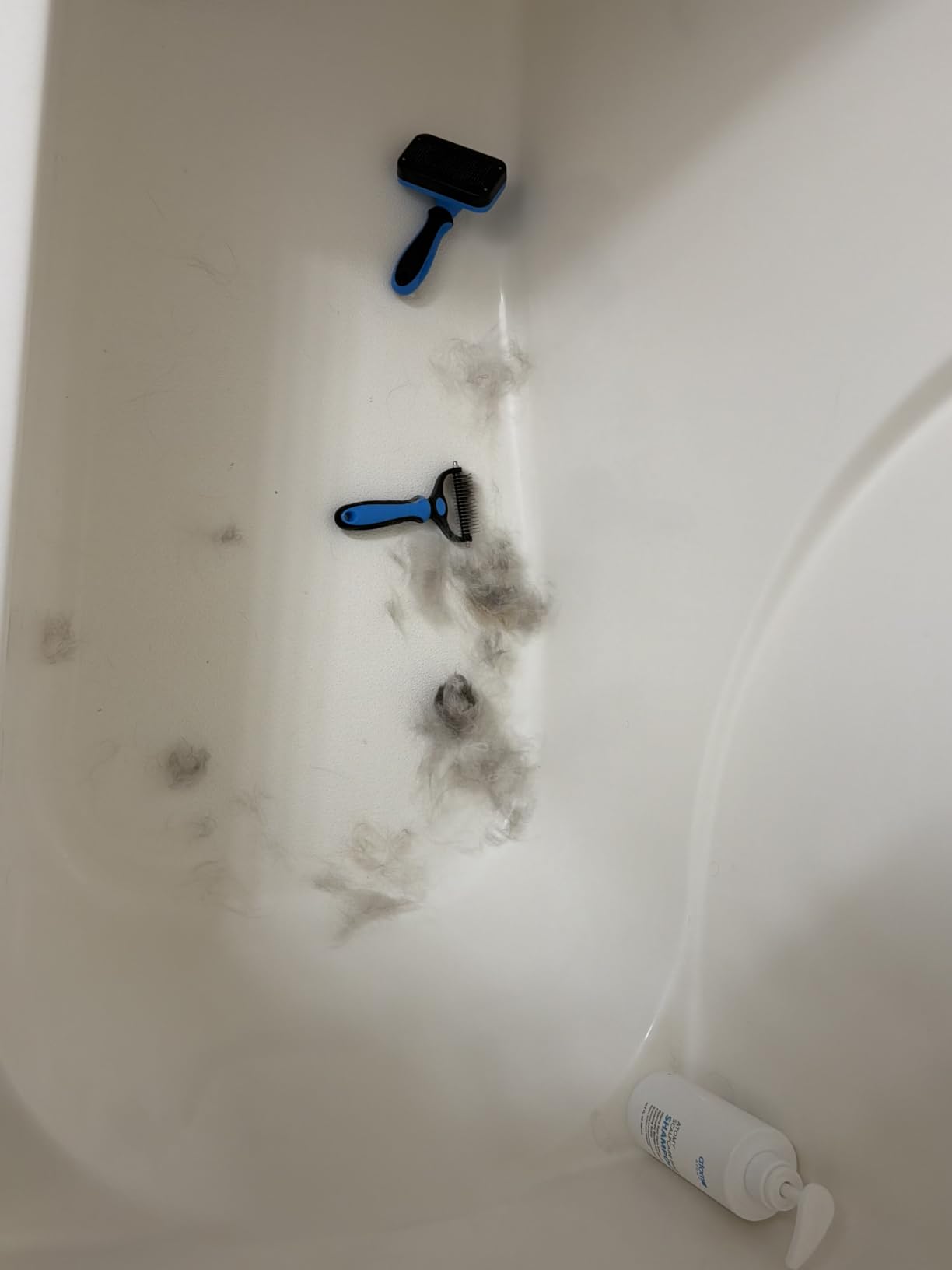 Professional 7 in 1 Pet Grooming kit I Dog Brush & Cat Brush I Dog&Cat Comb I Dog&Cat Nail Clipper/Trimmers with Nail File I Dog Bath Brush I Dog&Cat Flea Comb I Pet Supplies(Deep Blue) customer photo 1