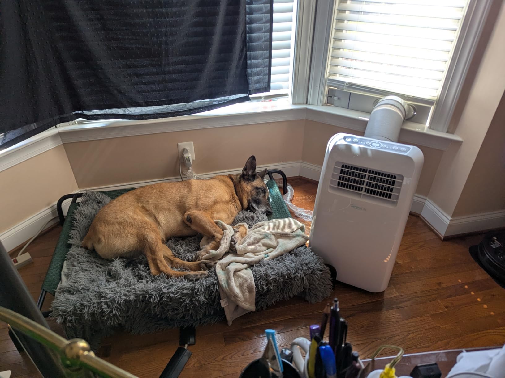 SereneLife 12,000 BTU Portable Air Conditioner with Dehumidifier & Fan | Portable AC Unit with WiFi for Wide Area Climate Control | Compact Standing Air Conditioner with Window Kit customer photo 2