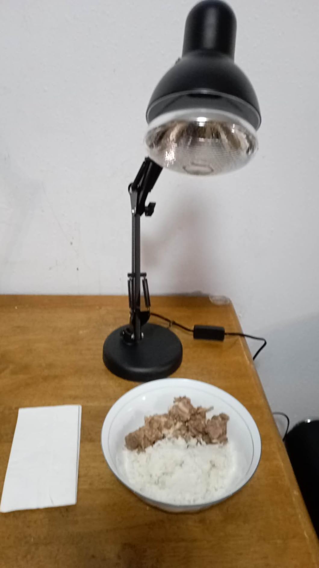 Portable Food Heat Lamp [Foldable Design] [3S Heating] Food Warmer Lamp | Food Warmer Light, Commercial Heat Lamp for Food, Catering Warming Lamp for Parties, Buffet, Pizza, Chocolate (Black) customer photo 2