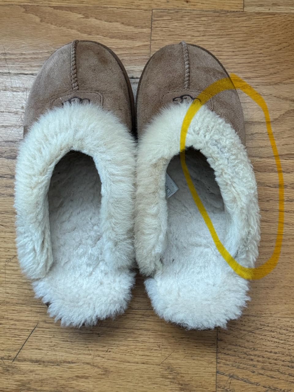 UGG Coquette customer photo 2