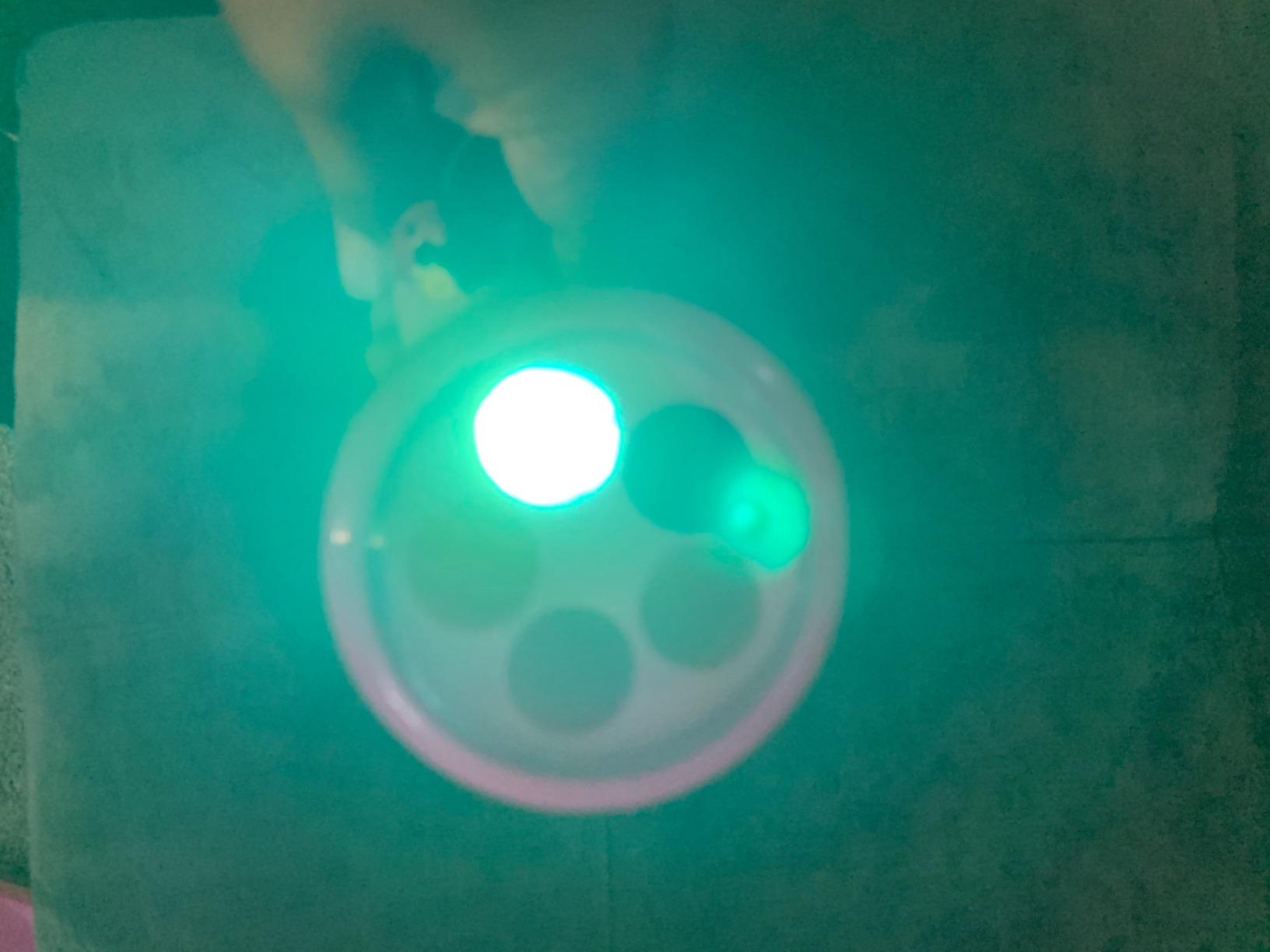 VTech Spin and Learn Flashlight customer photo 2