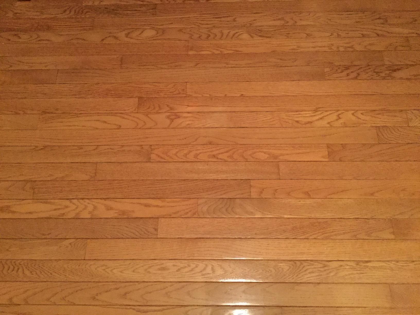 Shaw Floors R2X Hard Surfaces Flooring Cleaner Ready to Use No Need to Rinse Refill 1 Gallon customer photo 1
