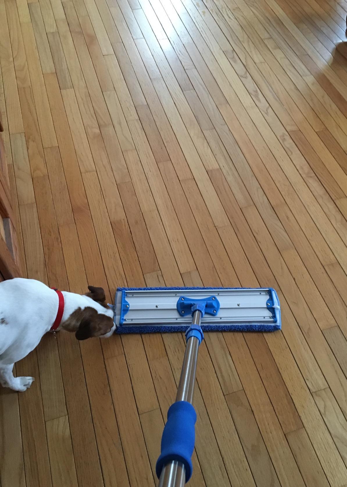 18” Pro Microfiber Hardwood Floor Mop - Cleans Floor in Seconds | Dust & Wet Mopping | Hardwood, Tile, Laminate & Vinyl with 3 Washable Pads, No Buckets Needed with Deluxe Household Mop customer photo 1