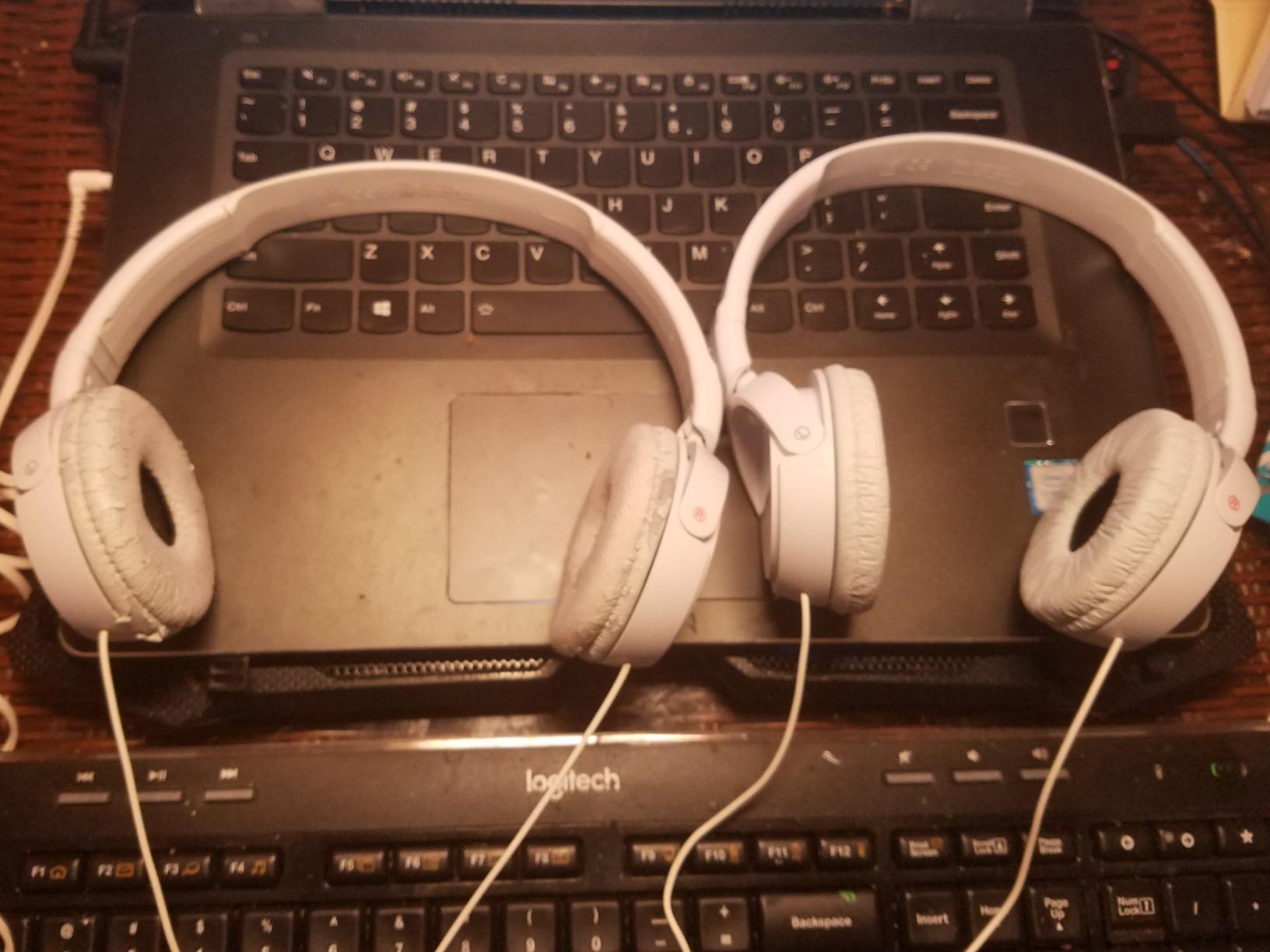 Sony MDR-ZX110AP customer photo 1