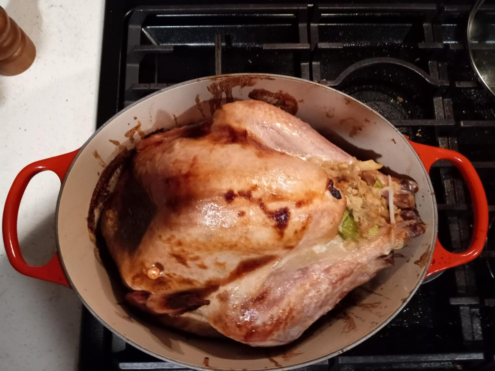 Le Creuset Signature Oval Dutch Oven customer photo 2