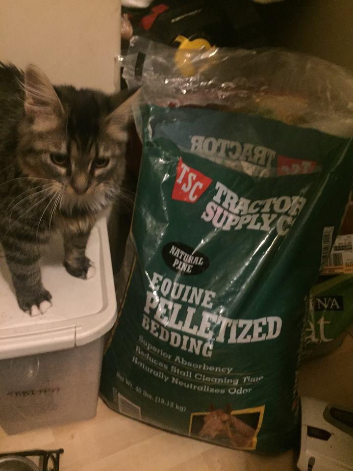 Arm and Hammer Sifting Box customer photo 1