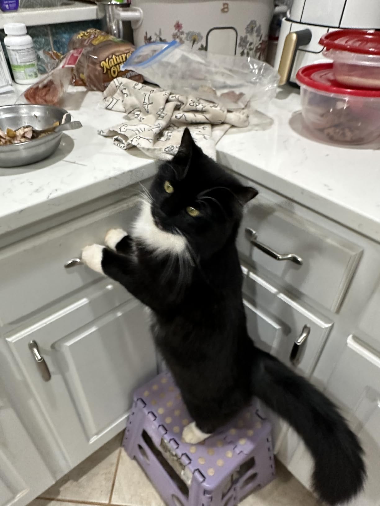 Arm and Hammer Sifting Box customer photo 2