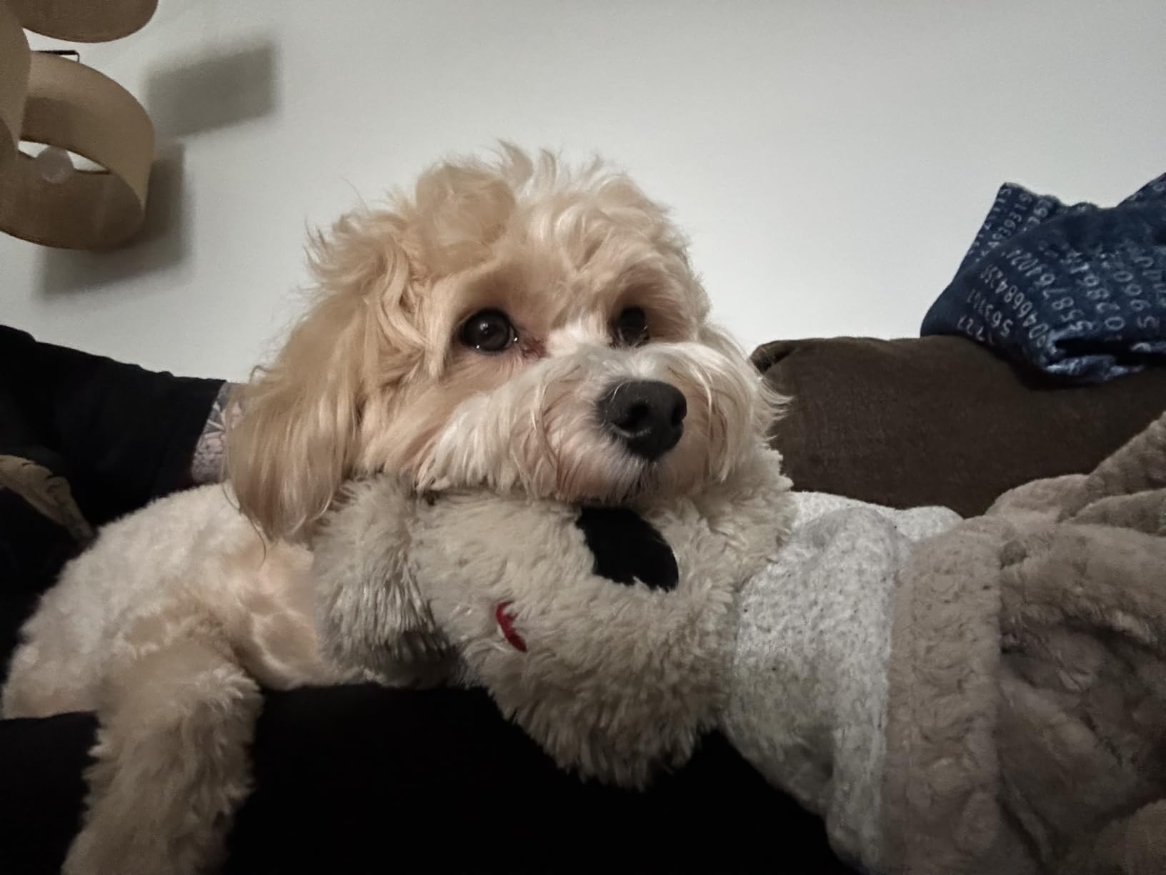 Snuggle Puppie Heartbeat Toy customer photo 1