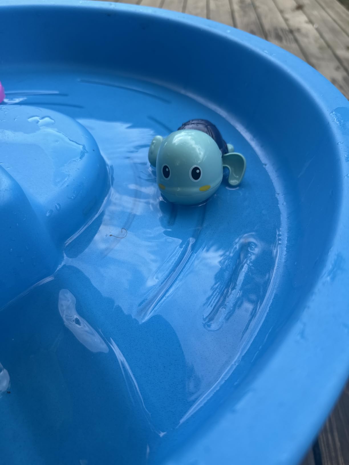 SEPHIX Bath Turtles customer photo 2