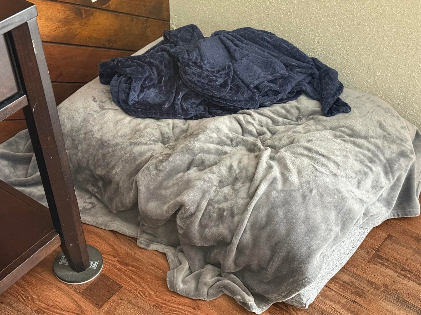 Bedsure GentleSoft Fleece Blanket customer photo 2