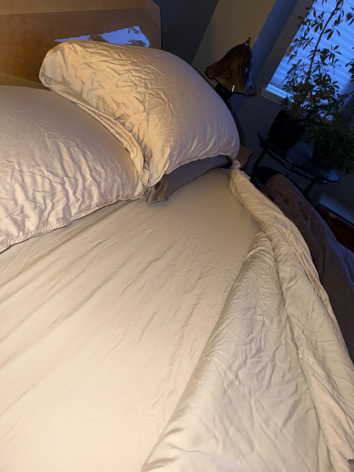 Bella Coterie Luxury Bamboo Viscose Queen Size Sheet Set customer photo 1