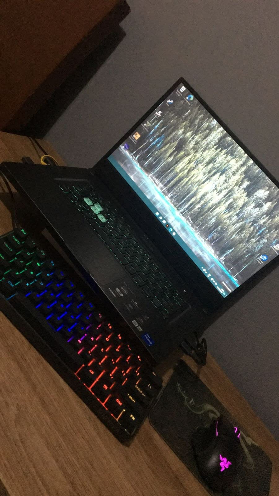 ASUS TUF Dash 15 customer photo 1
