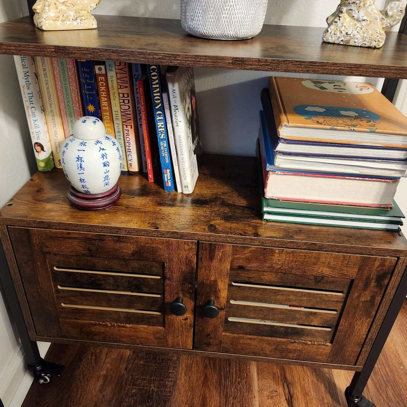 IRONCK Bookcase with Doors and Open Shelves for Home Office and Living Room customer photo 1