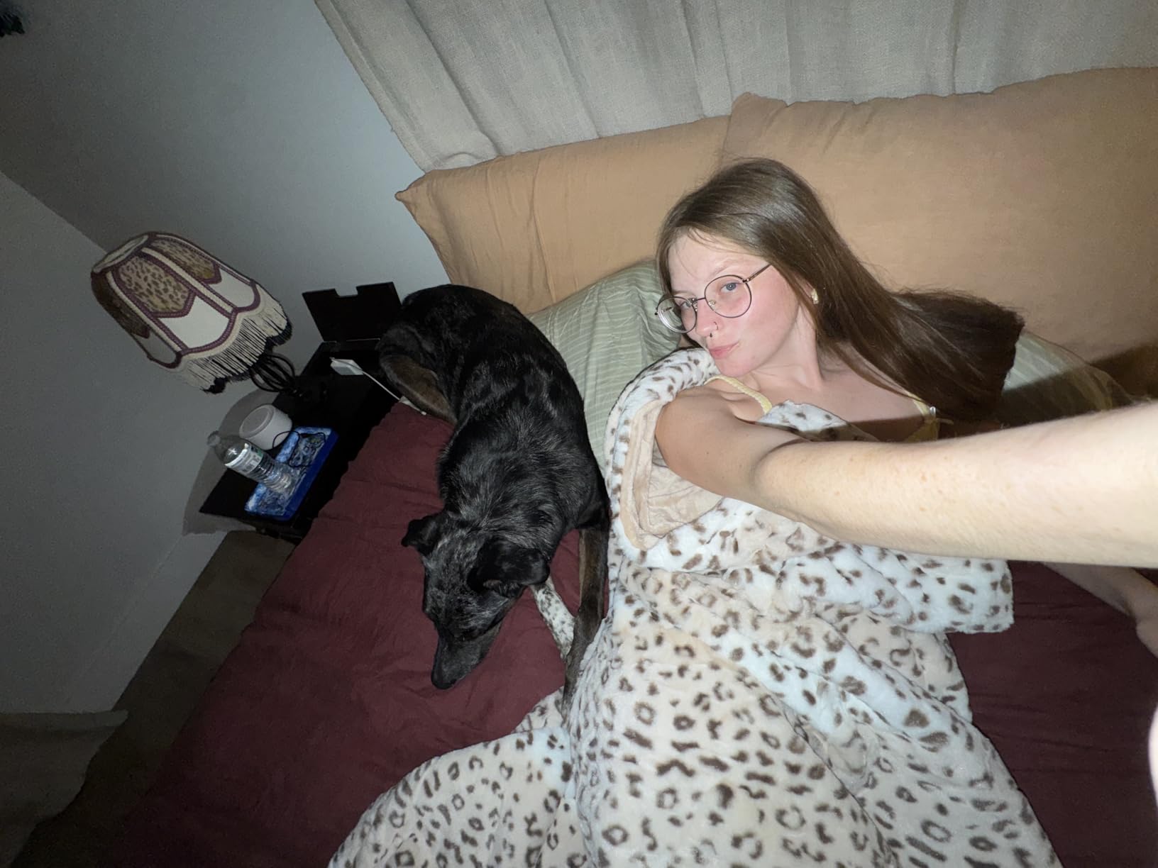 Westinghouse Heated Throw customer photo 1