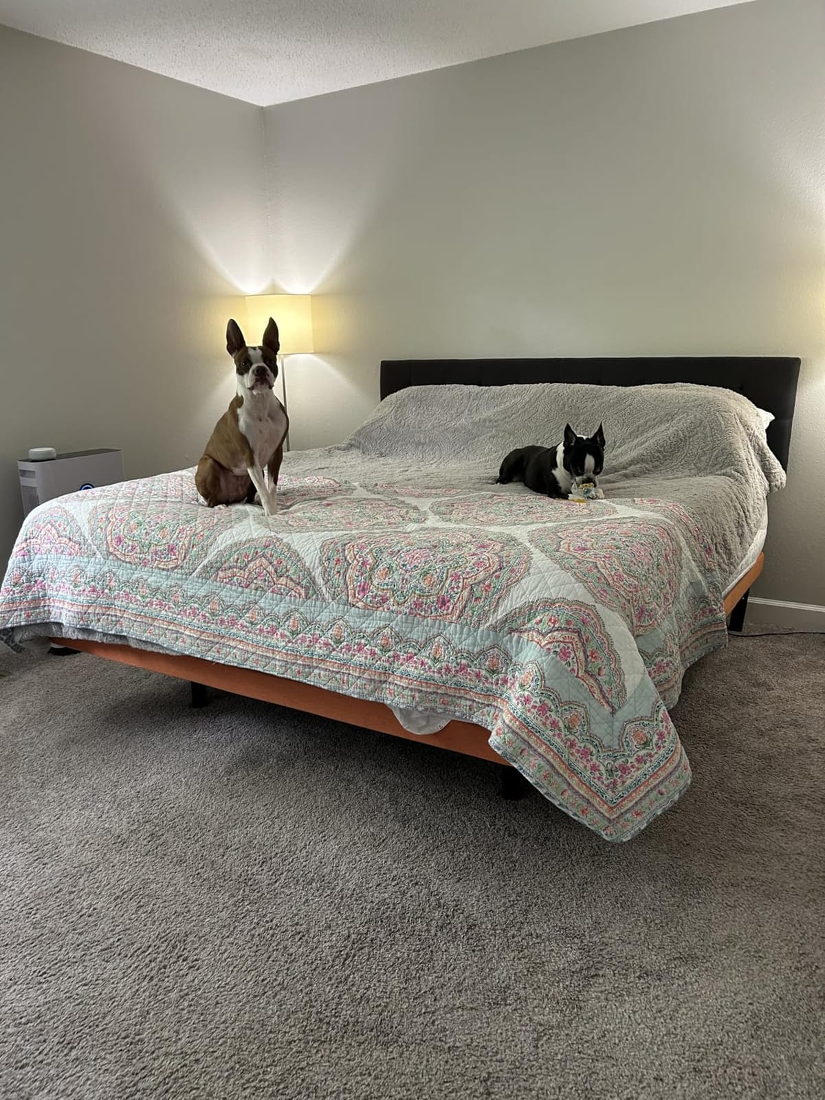 ESHINE King Adjustable Bed Frame Base - 3000 Premium Series customer photo 1