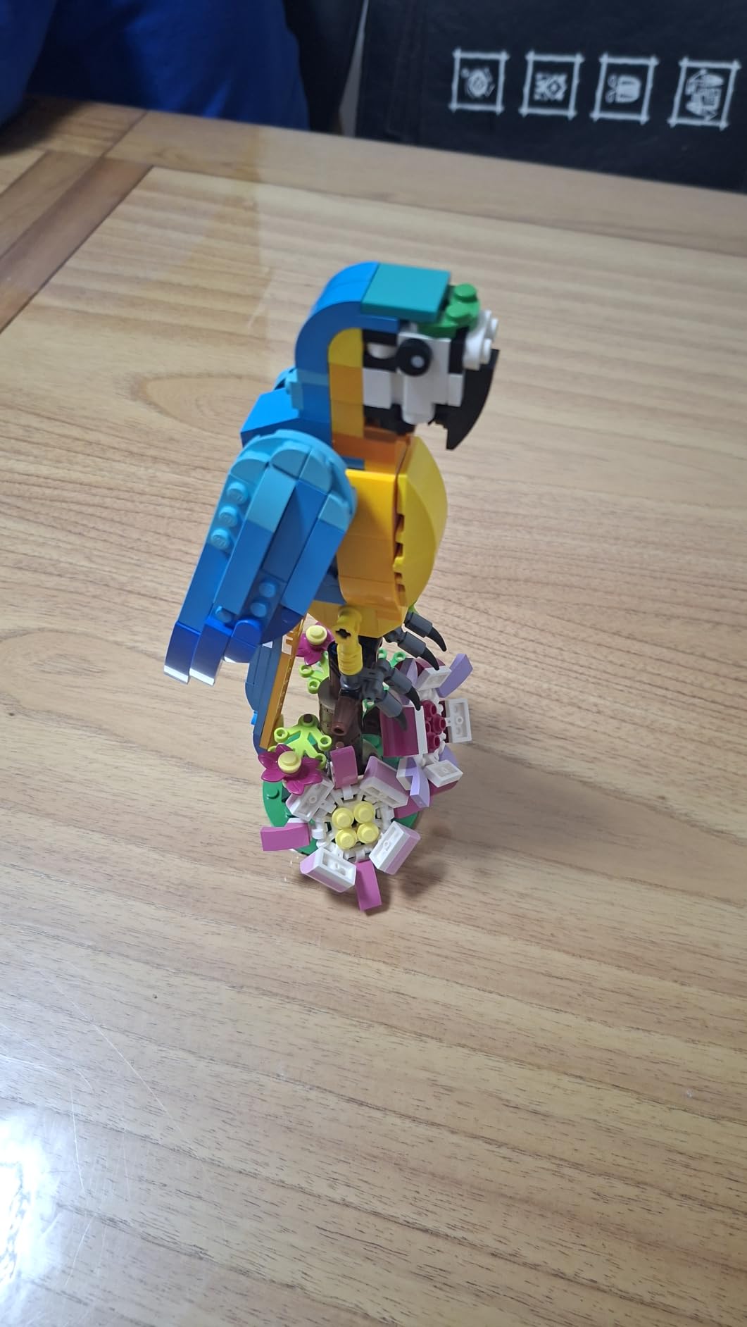 LEGO Exotic Parrot 31136 customer photo 1