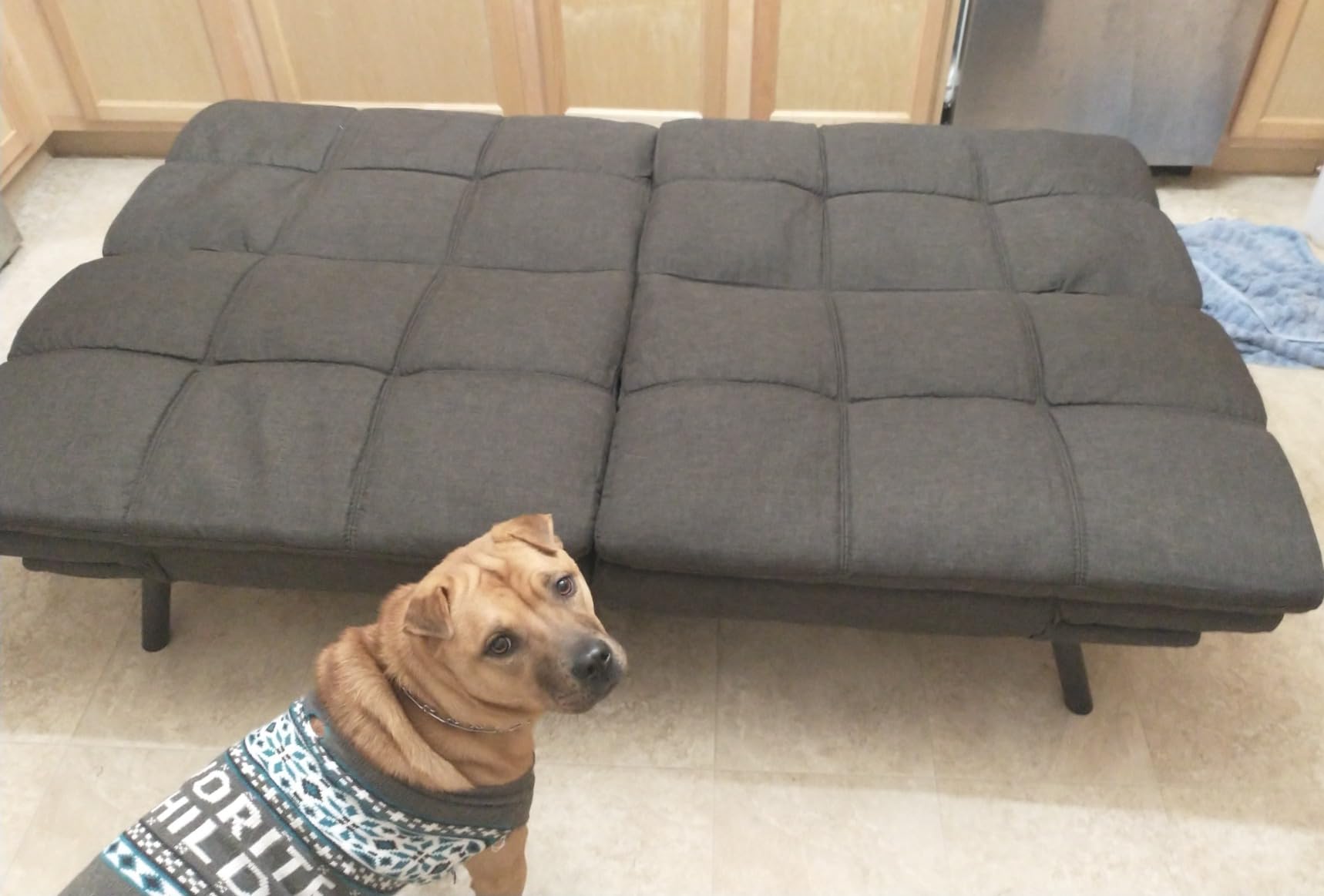 MUUEGM Futon Sofa Bed Memory Foam Futon Sofa Sleeper Couch,Convertible Modern Futon for Living Room,Love seat for Apartments Office Small Spaces,w/Adjustable Armrests Backrest,Linen Fabric,Grey customer photo 1