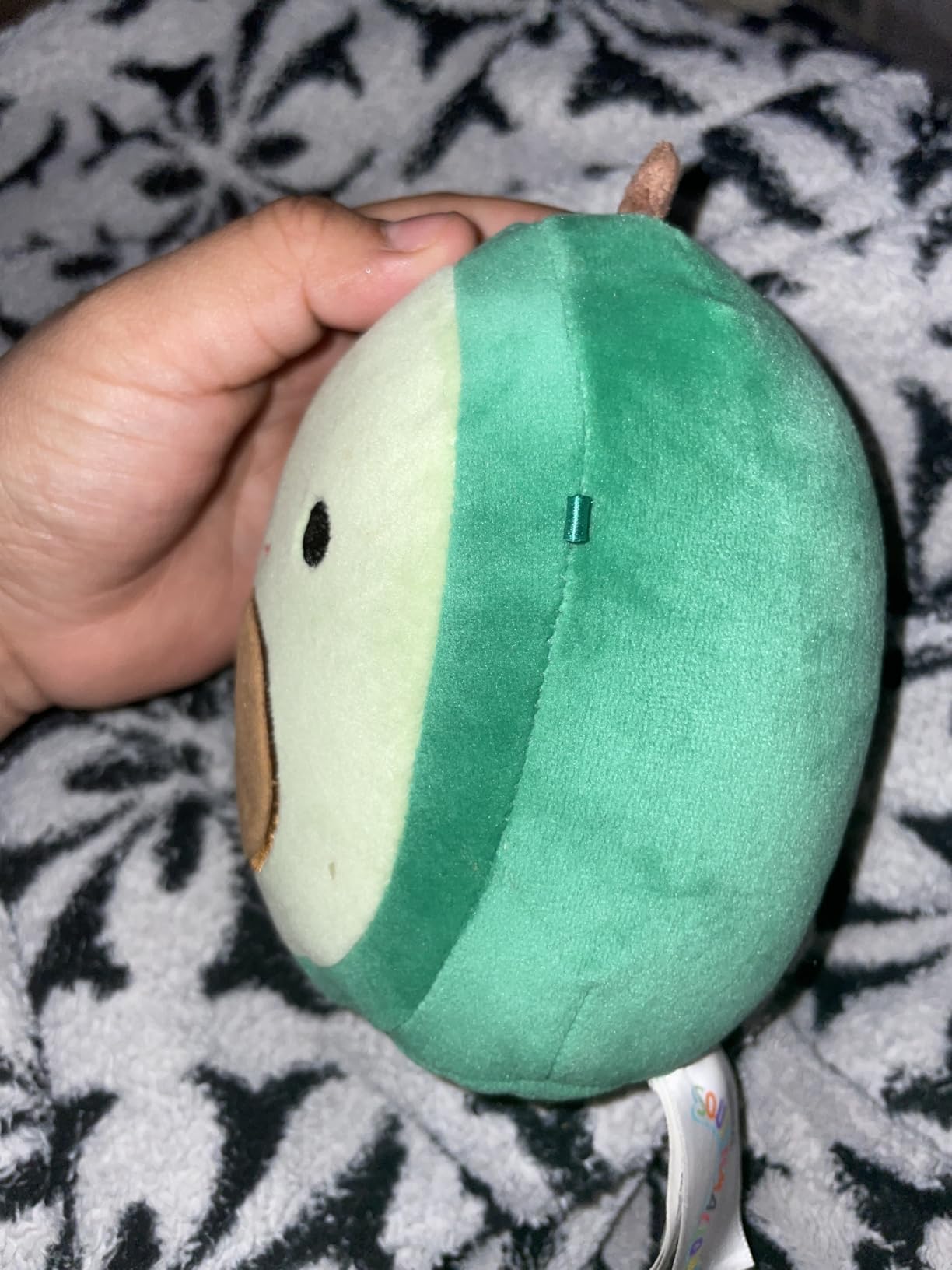 Squishmallows Original 5-Inch Austin Avocado - Official Jazwares Plush customer photo 2