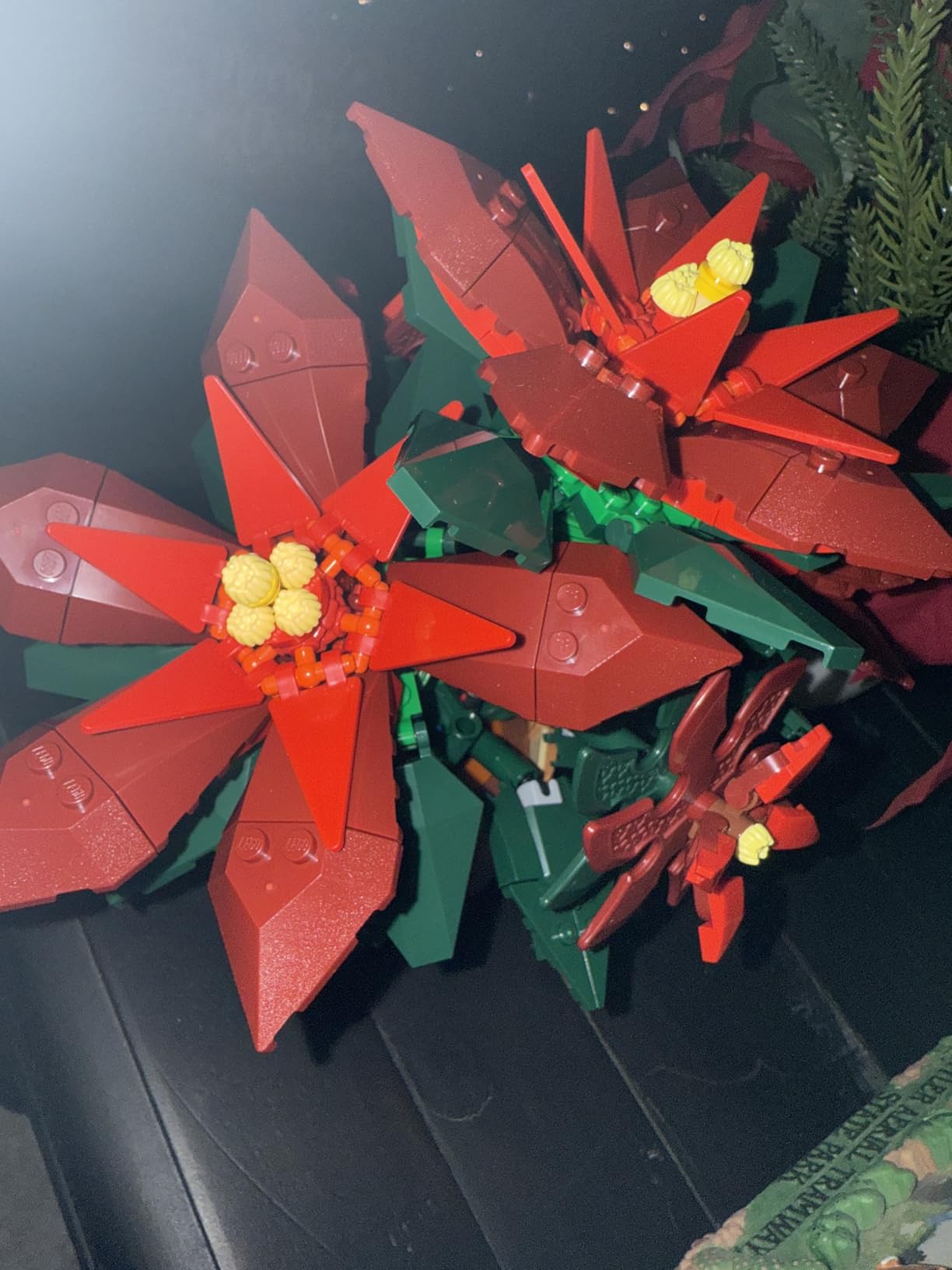 LEGO Poinsettia 10370 customer photo 1