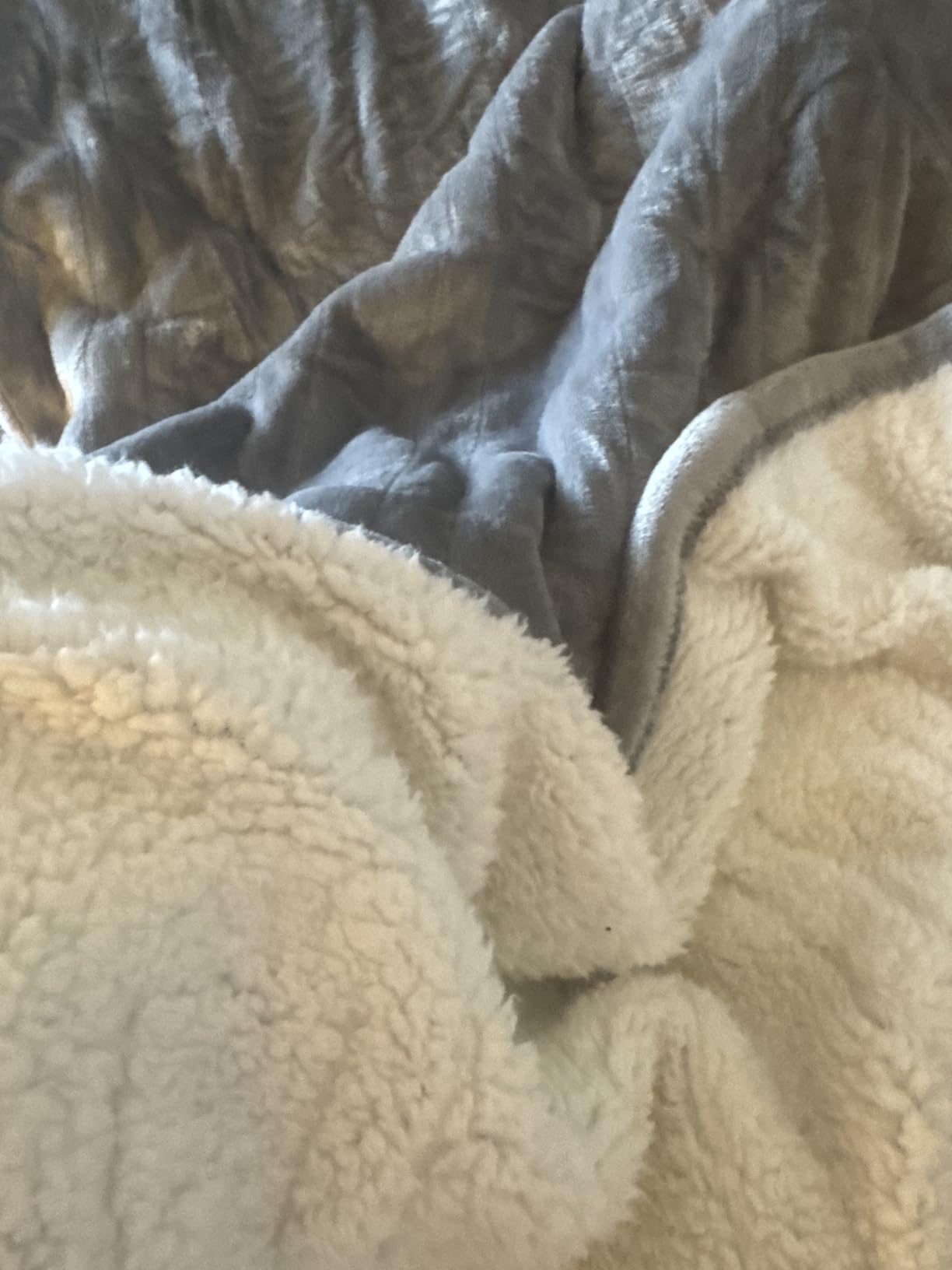 ESTINGO Queen Dual-Control Blanket customer photo 1