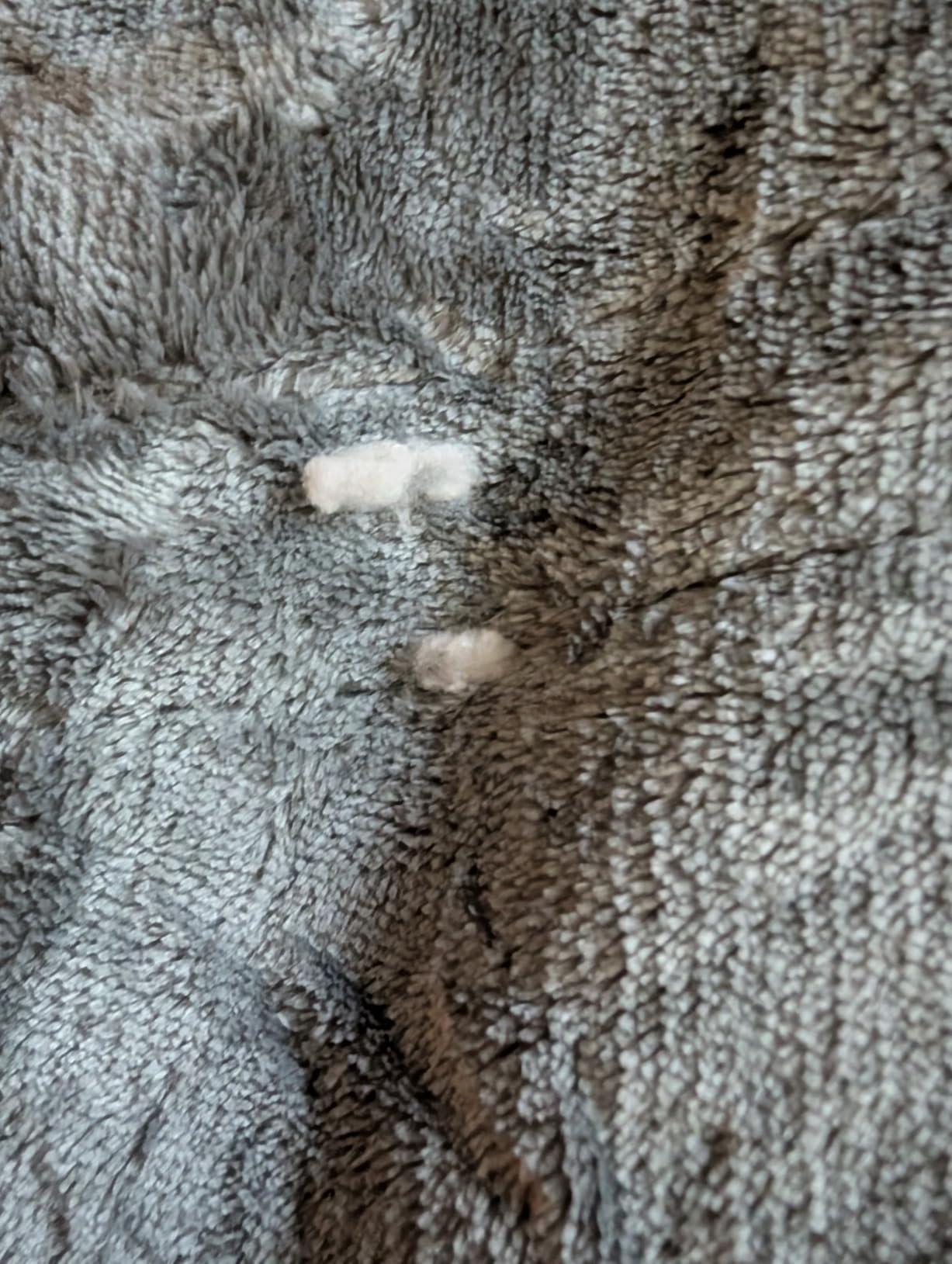 ESTINGO Queen Dual-Control Blanket customer photo 2