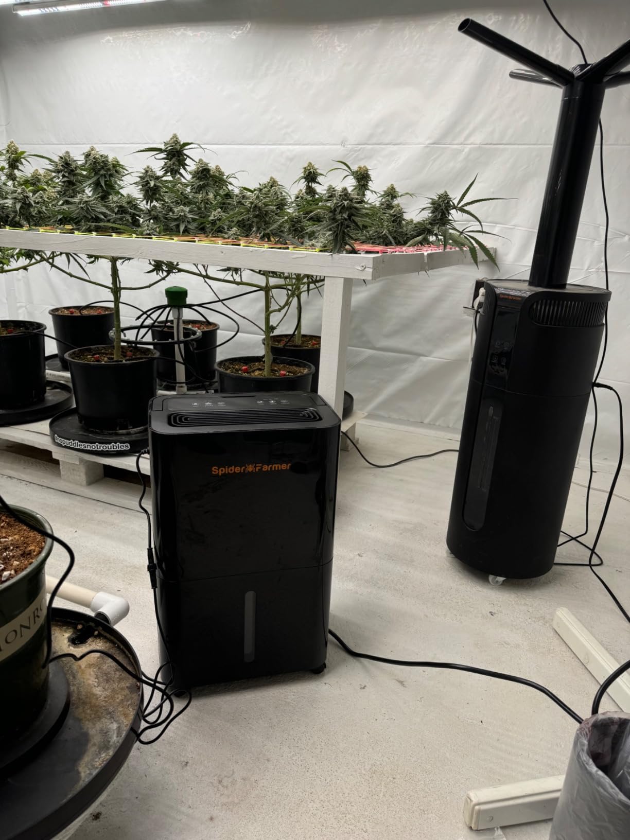 SPIDER FARMER 32 Pints Plant Dehumidifier for Grow Tent,Humidity Control customer photo 2