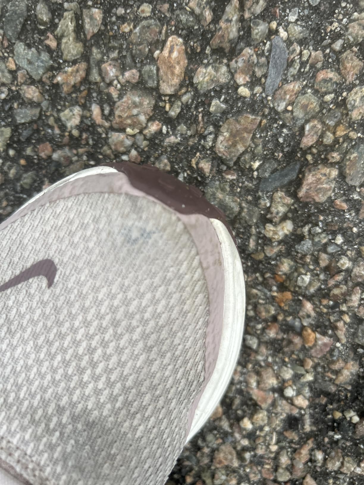 Nike Women's Revolution 8 Road Running Shoes customer photo 2